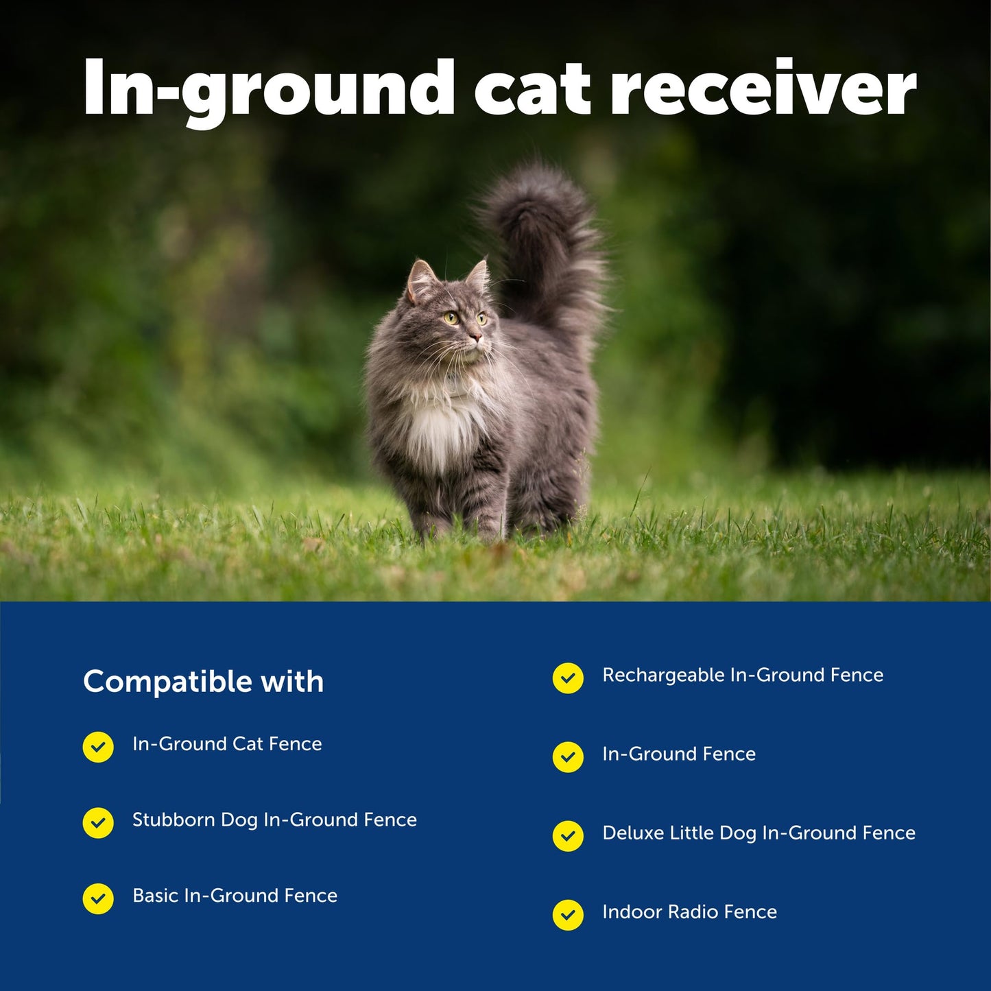 PetSafe In-Ground Fence Receiver Collar for Cats - Waterproof & Battery-Operated Adjustable Invisible Perimeter Training Collar - for Cats Older Than 6 Months, Weighing Over 6 lbs