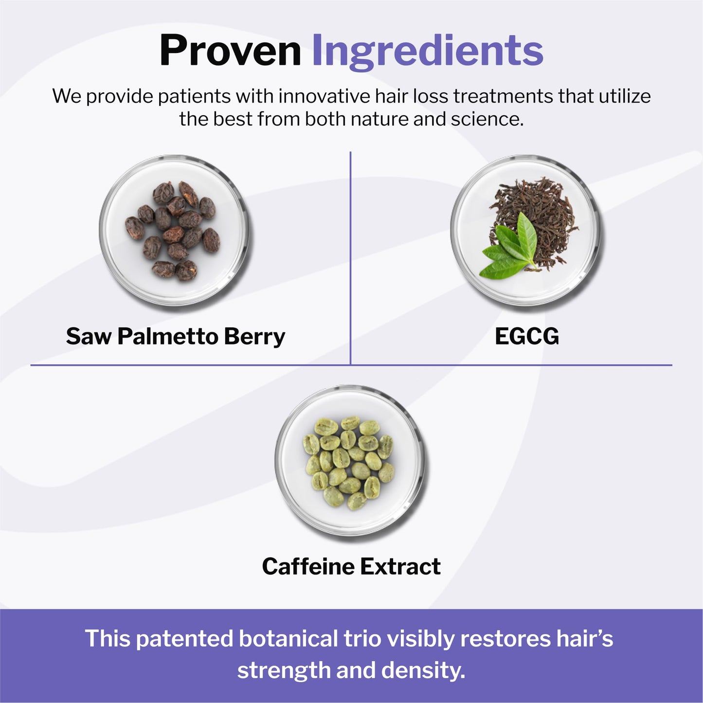 Shapiro MD Hair Growth Experts Hair Loss Leave-In Daily Foam, DHT Fighting Vegan Formula for Thinning Hair Developed by Dermatologists, Experience Healthier, Fuller, 2 Month Supply