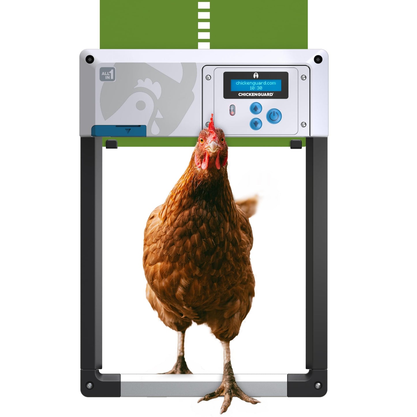 Automatic Chicken Coop Door Opener, ChickenGuard One in All 4 Colours, Timer/Light Sensing, Winter Mode, Auto-Stop & Predator Proof, 3 Power Options, Solar, Battery or Electric (Green + Batteries)
