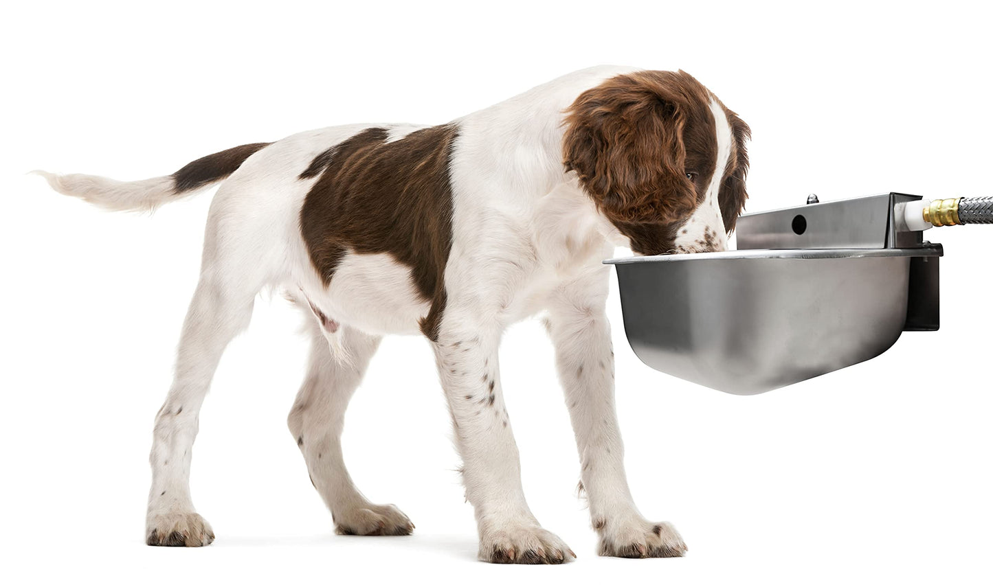 Nelson Rust Proof Stainless Steel Outdoor Automatic Dog Waterer Bowl Dispenser - Easy To Clean and sanitize, Quick Setup With Fresh Water Refill - Perfect Alternative Choice For Livestock Farm Animals