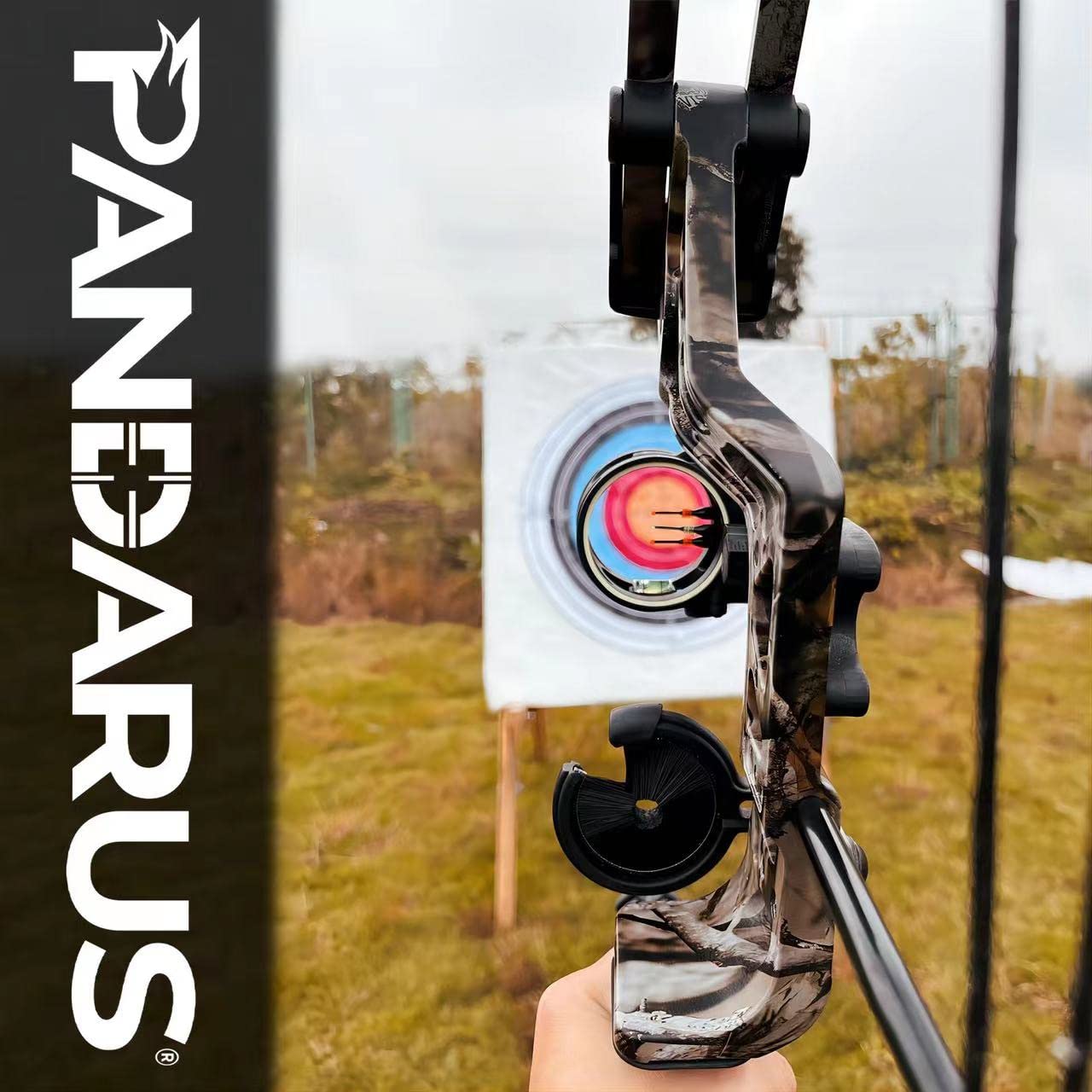PANDARUS Compound Bow Set 15-45lbs for Pull Beginner and Teens Right Handed Adjustable 18"-29" Draw Length, 320 FPS Speed, Hunting Bow Archery Set New 2024(Black Right Handed PRO)