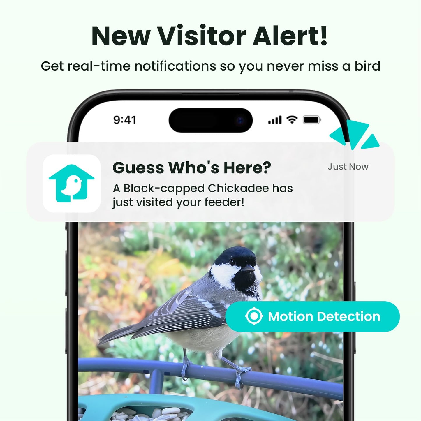 Birdfy 2 Smart Bird Feeder with Camera, AI Identifies 6000+ Bird Species, Dual-Lens 2K+1080P Camera for Live Streaming & Close-Up Photos, Solar-Powered Backyard Birdwatching Gift for Christmas