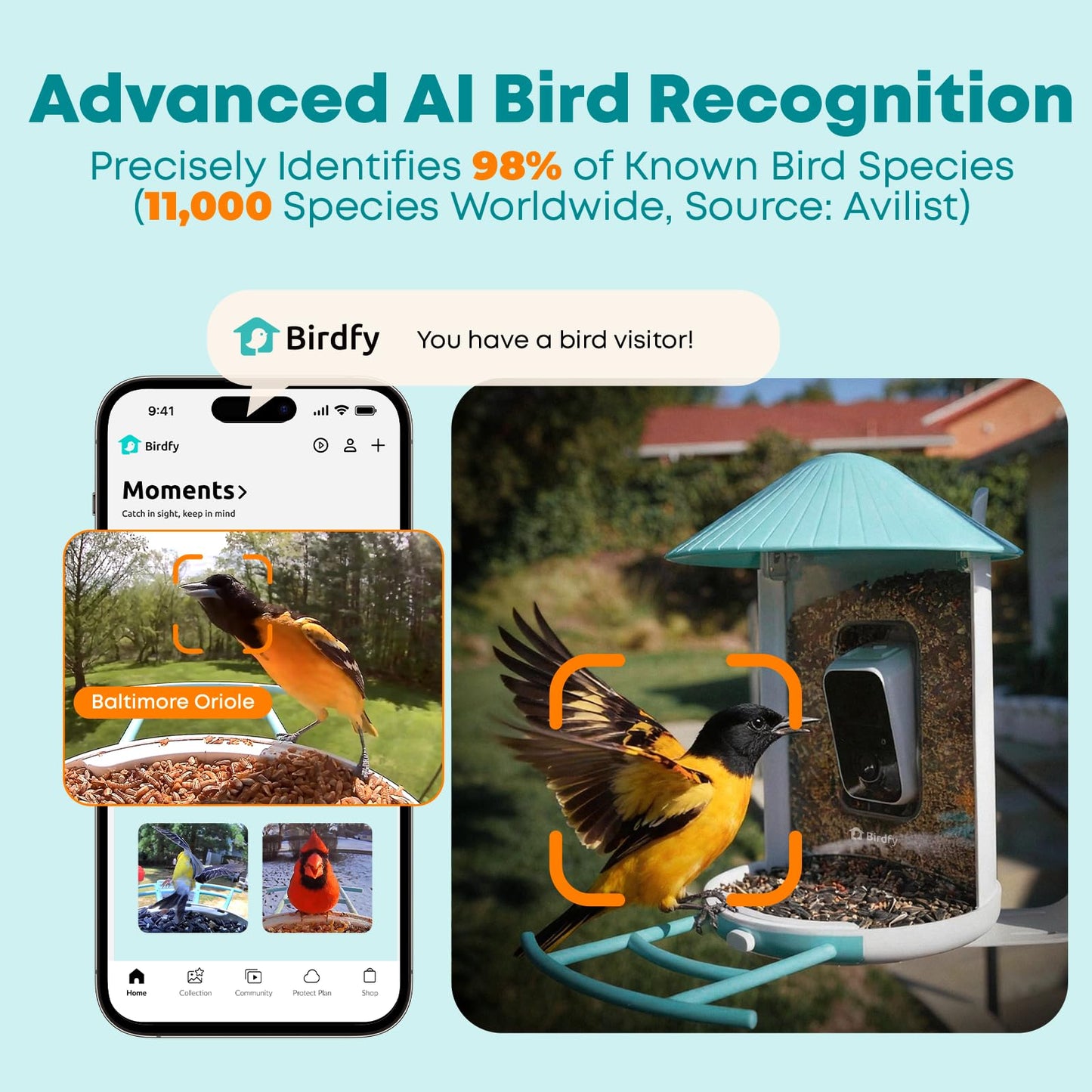NETVUE by Birdfy Smart Bird Feeder with 2K AI Camera, Auto Capture Videos & Motion Detection, Live Steam, Wireless Wildbird Watching, Ideal Gift for Outdoor Backyard Birder(AI by Subscription)