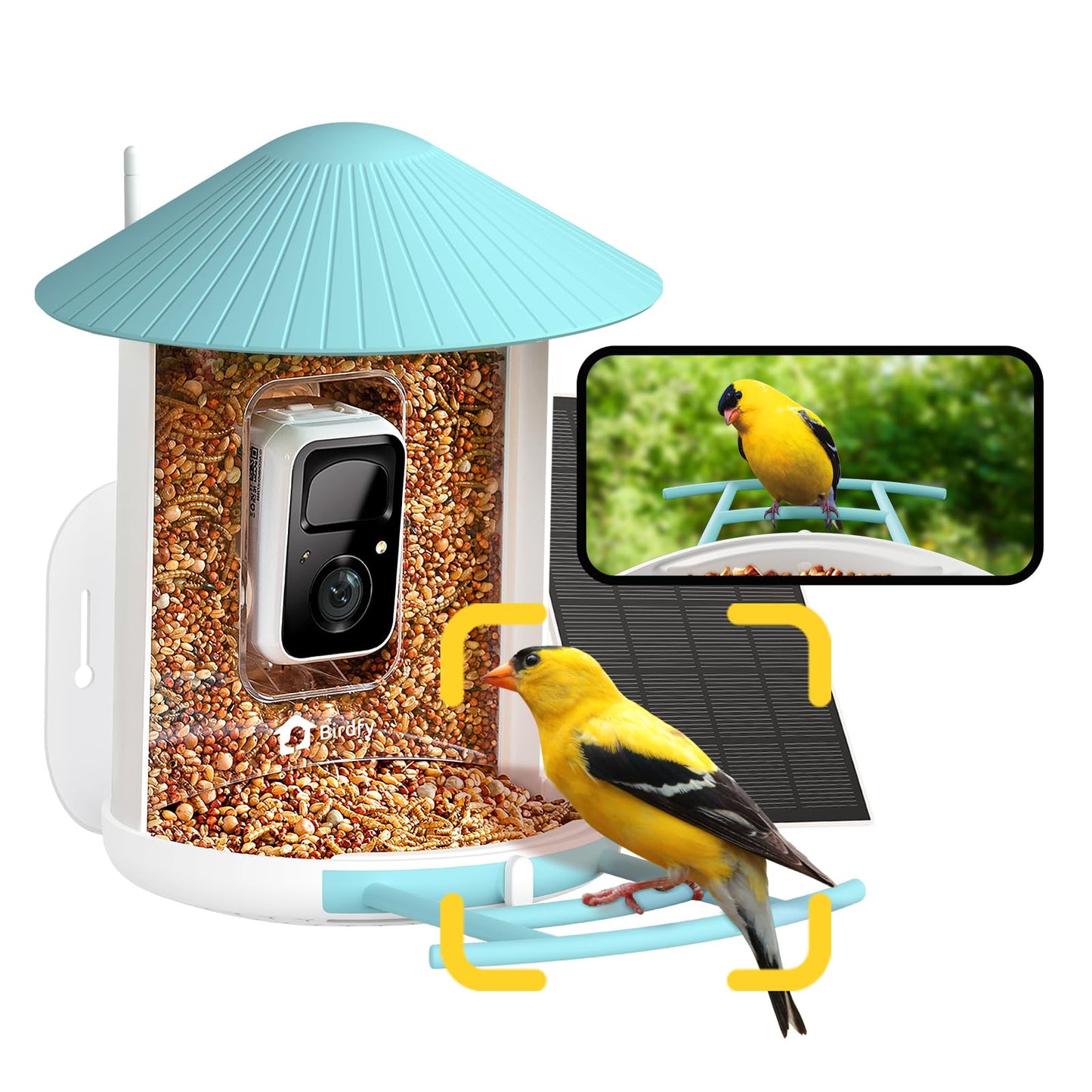 NETVUE by Birdfy Smart Bird Feeder with Camera â AI Identifies Birds Species 2MP Night Vision & App Alerts, 2.4Ghz Wi-Fi Connect IP65 Weatherproof Bird Camera-Gift for Backyard BirdWatchers, Blue