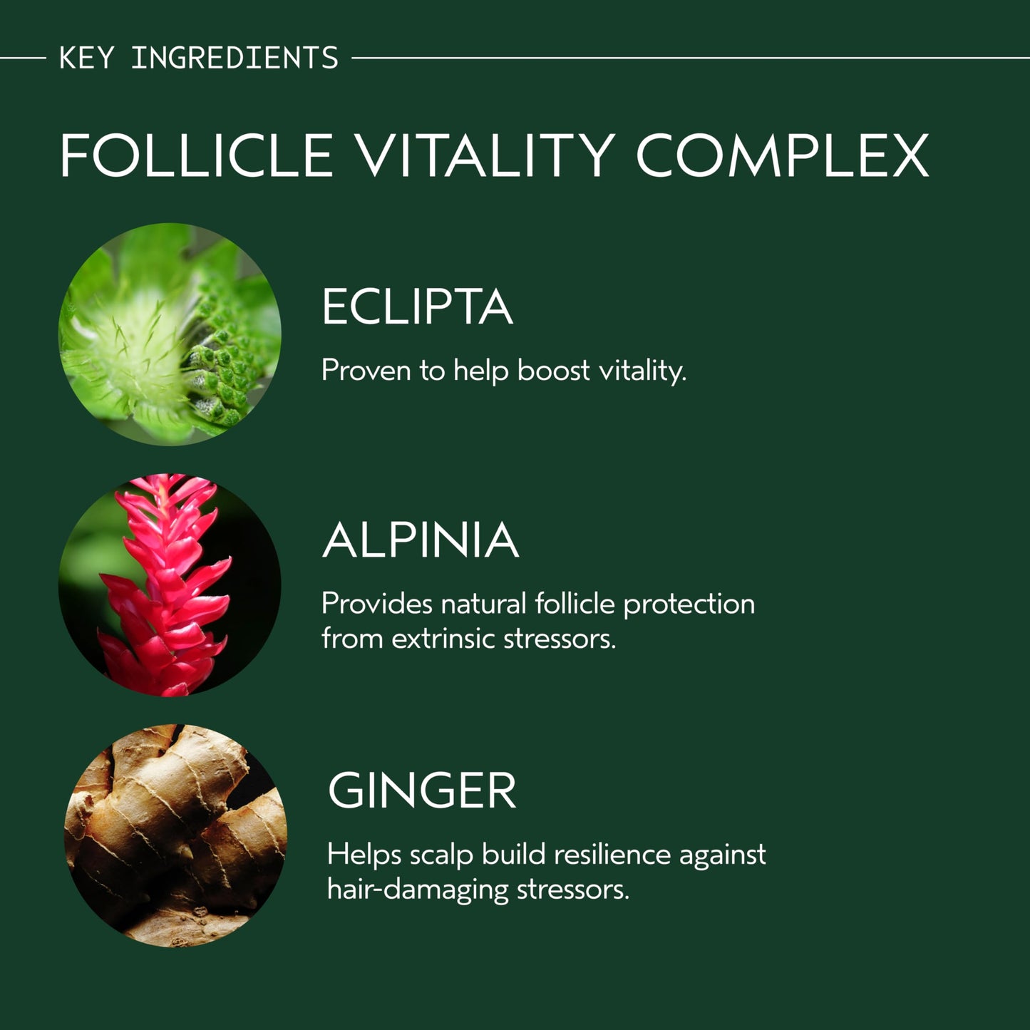 Aveda Invati Ultra Advanced Revitalizing Scalp Serum | Step 3 of 4 | Reduces Hair Loss by 77% | Strengthens Thinning Hair | 98% Naturally Derived*, 5 Fl Oz