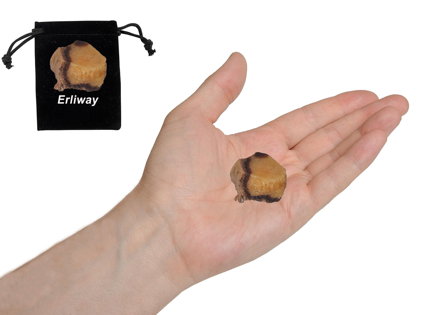 Septarian Raw Crystals, Large 1.25-2.0" Healing Crystals Natural Rough Stones Crystal for Tumbling, Cabbing, Fountain Rocks, Decoration, Polishing, Wire Wrapping, Wicca & Reiki