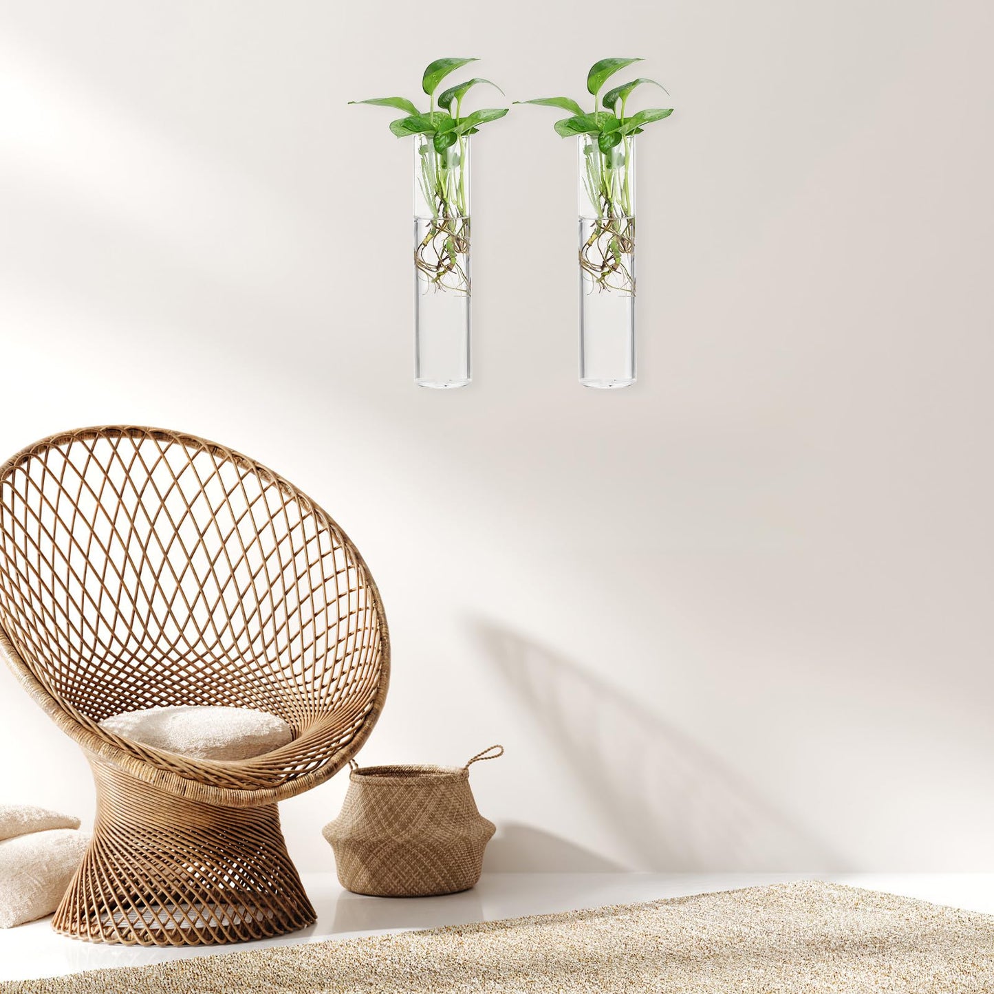 SILENRADAWN Cylinder Glass Wall Vase Set 2pcs Hanging Hydroponic Flower Tube Vases for Indoor Plants Wall-Mounted Plant Holders Decorative Terrarium Containers for Home and Office
