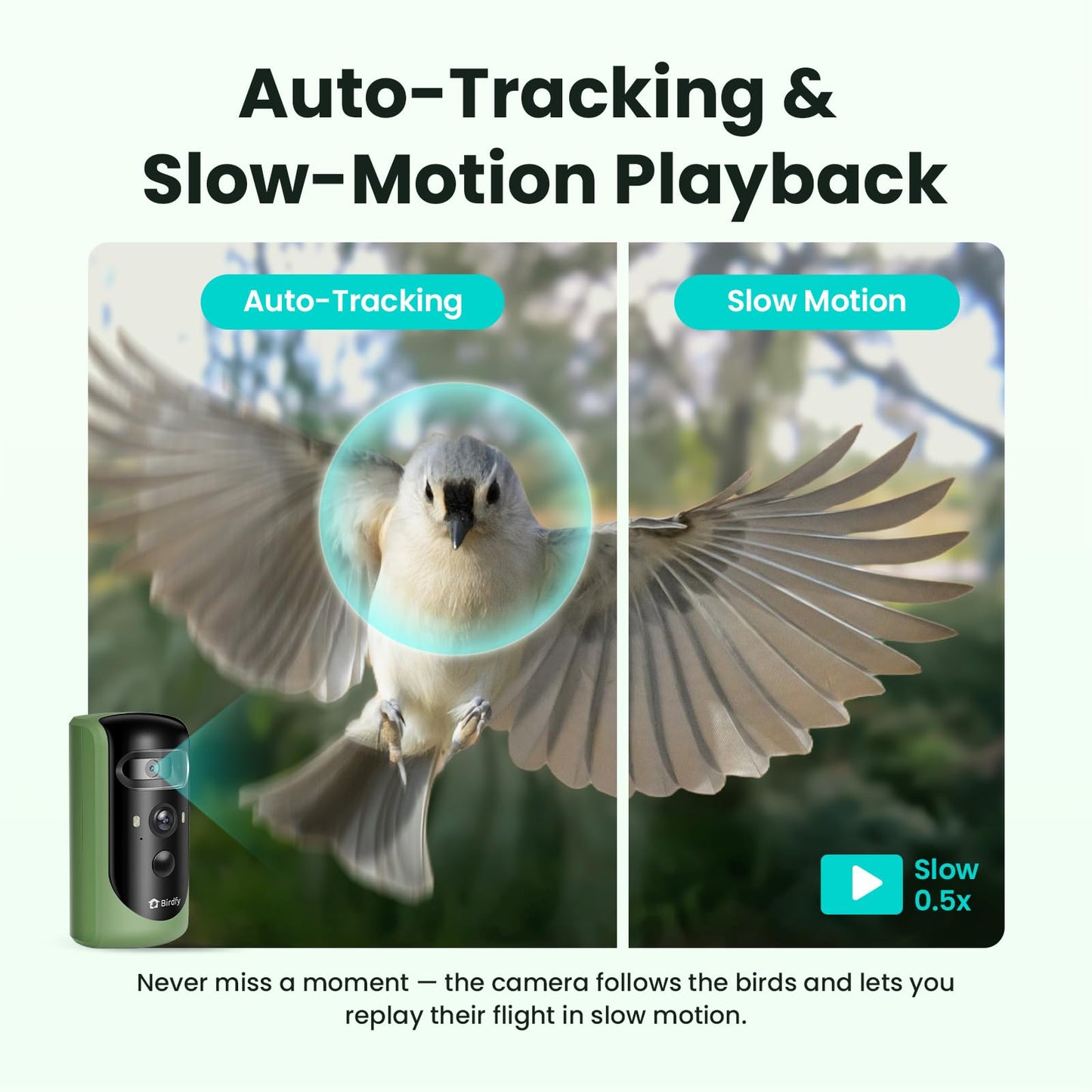 Birdfy 2 Smart Bird Feeder with Camera, Dual-Lens (2K+1080P) Camera for Live Streaming & Close-Up Photos, AI Identifies Bird Species, Solar-Powered Backyard Birdwatching Gift