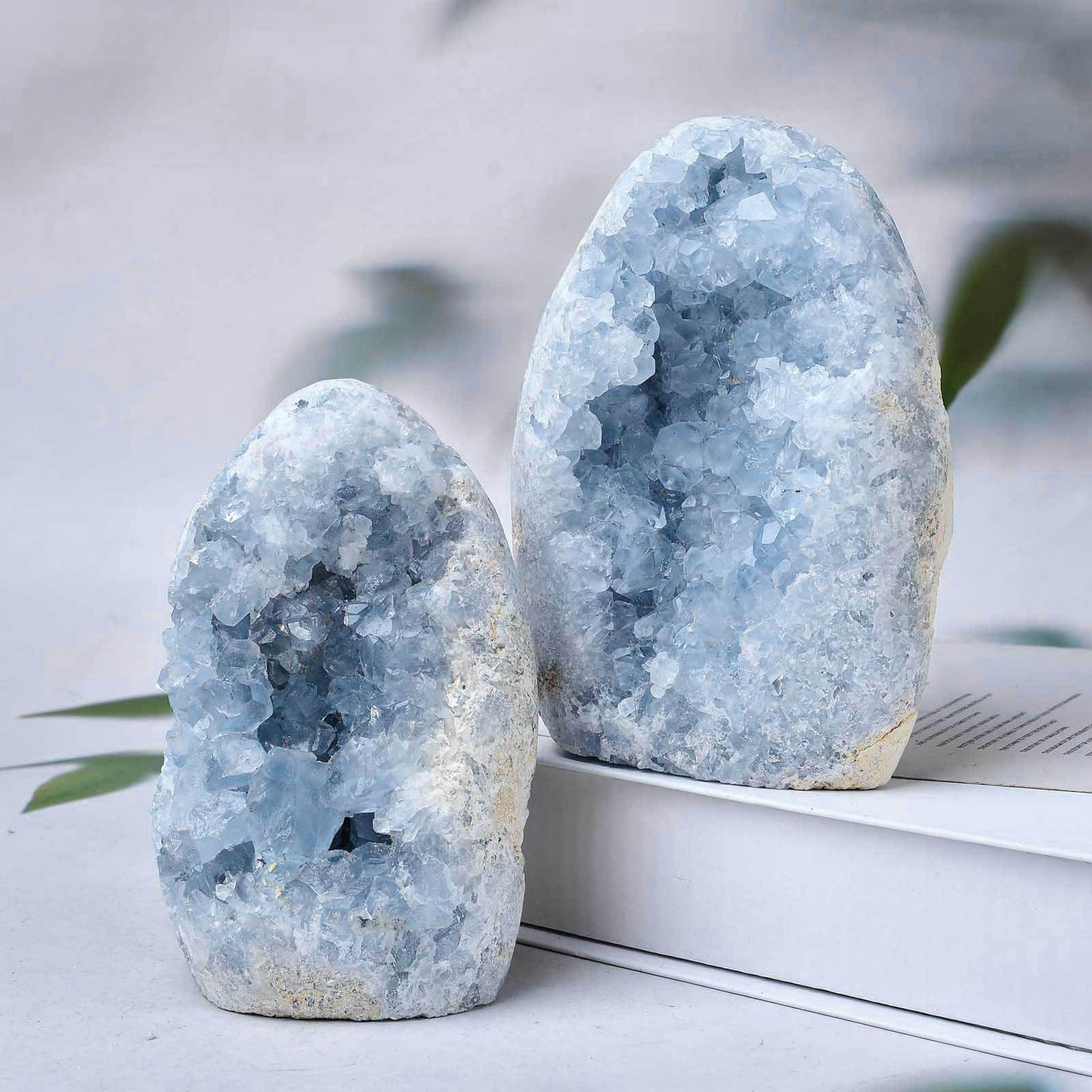 FZBHRO Natural Blue Celestite Cluster Geode Healing Crystal Stone Collection Mineral Specimen Home Office Decor Meditation Gifts 0.8-1.3 Pound
