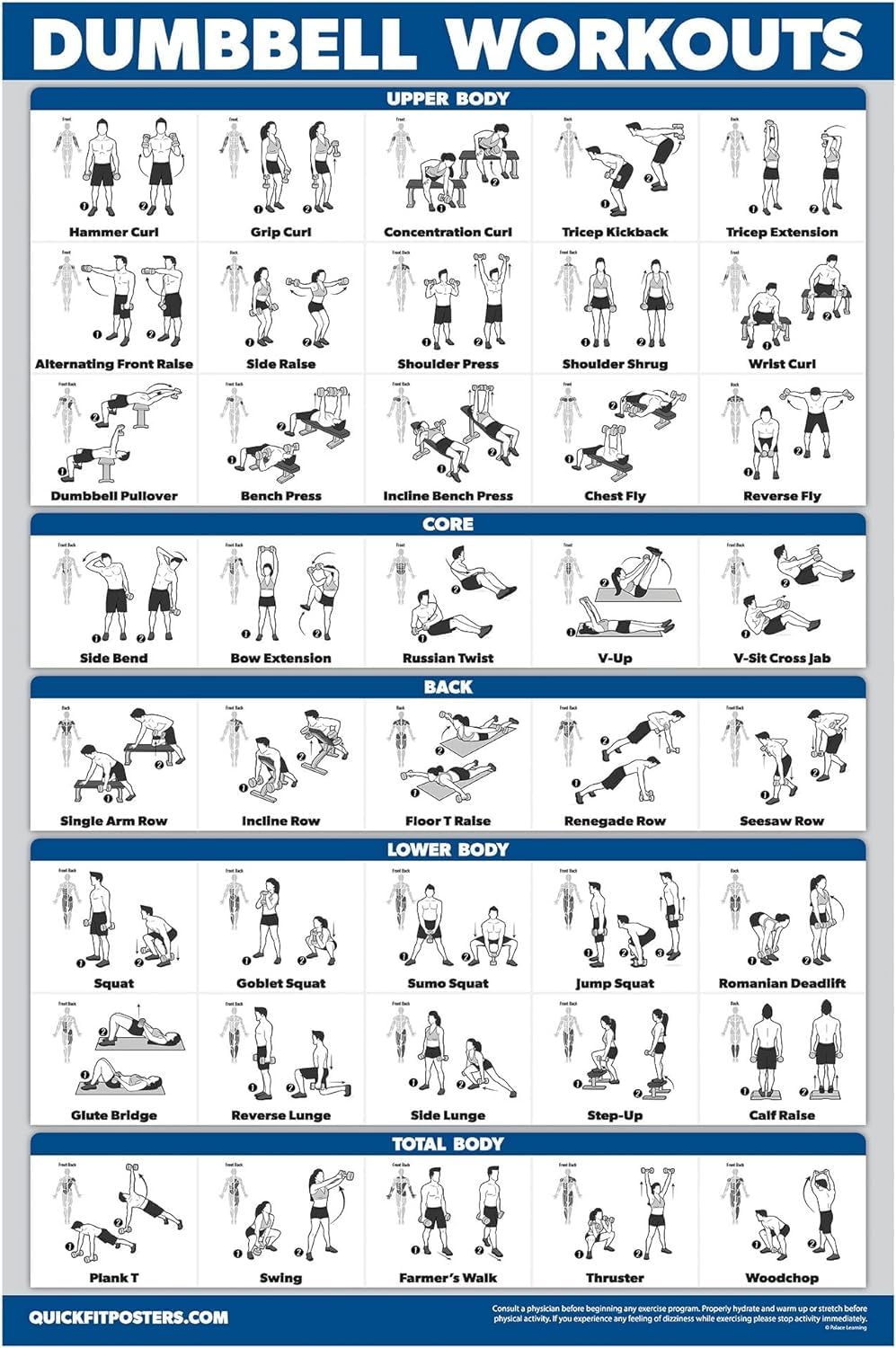 Palace Learning Dumbbell Workout Exercise Poster - Free Weight Body Building Guide | Home Gym Chart - LAMINATED, 18" x 24"""
