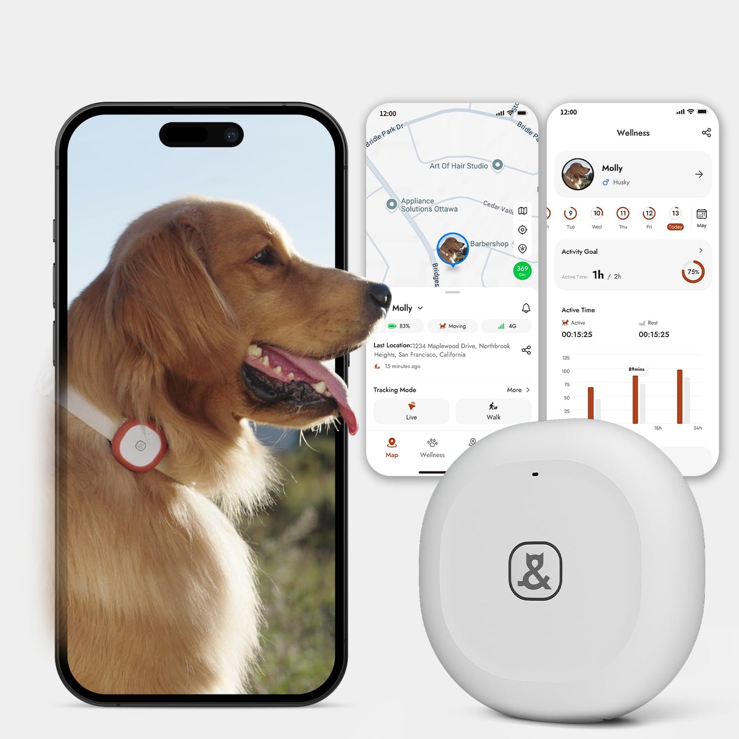 Automatic Dog Feeder for Large Dogs, 14L Capacity, 2.4G WiFi App Control, Dual Power Supply, Stainless Steel Bowl, and Molly&Cody GPS + Bluetooth Pet Tracker for Cats & Dogs – Real‑Time Tracking