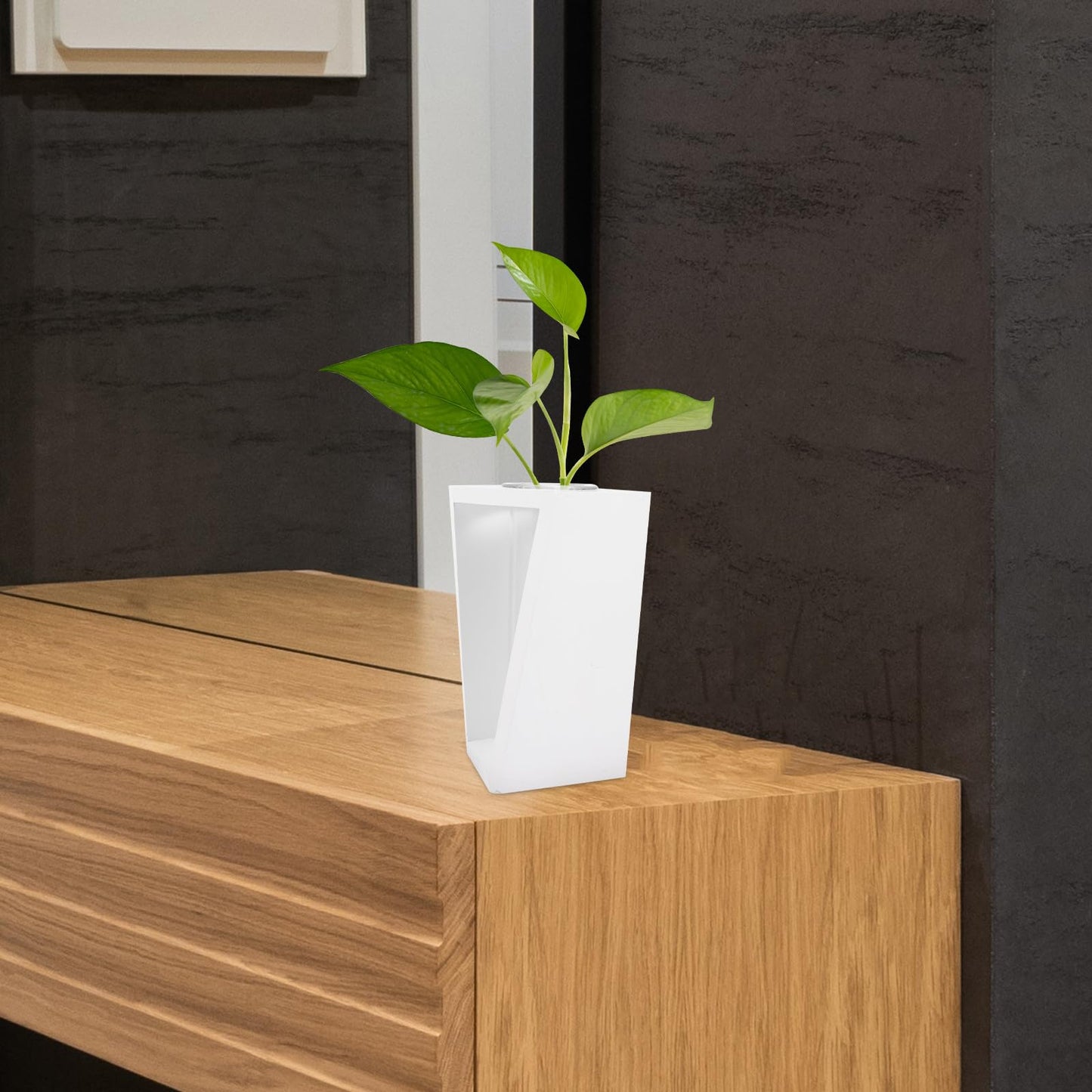 GOOHOCHY Wooden Frame Test Tube Glass Vase Hydroponic Propagation Planter for Indoor Plants Small Glass Terrarium Decor White Stand for Home Office