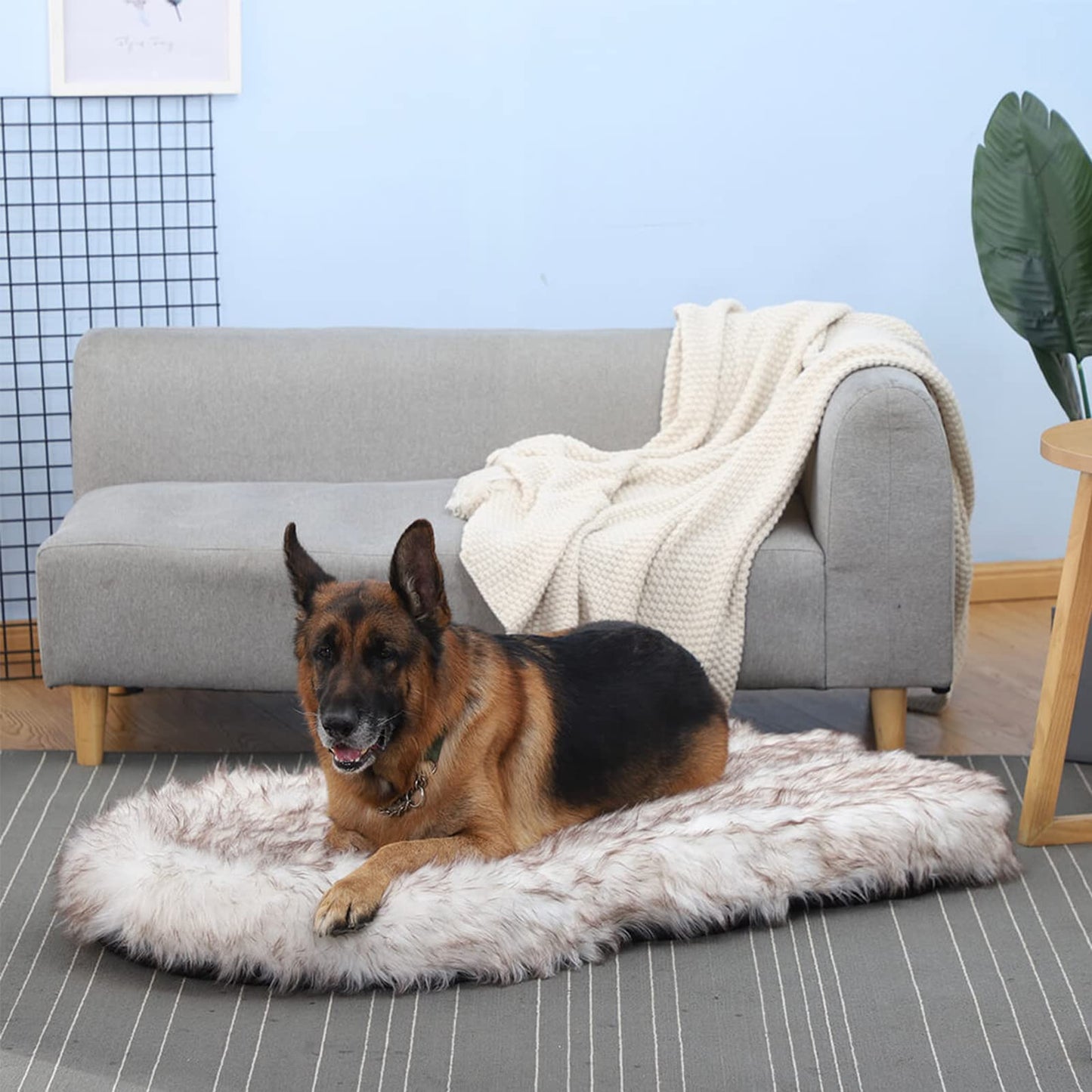 Laifug Luxury Faux Fur Dog Bed - 5-inch Thick Grade Ultra Soft Memory Foam with Removable Faux Fur Cover, Waterproof Liner (Gray-Brown, White)