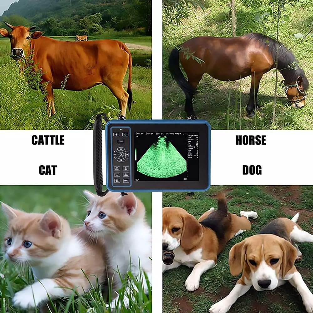 DAWEI Veterinary Ultrasound Machine for Pregnancy Portable Scanner with 3.5Mhz Convex Probe Waterproof Probe for Pig,Sheep,Dog,Cat,Livestock,Pet use