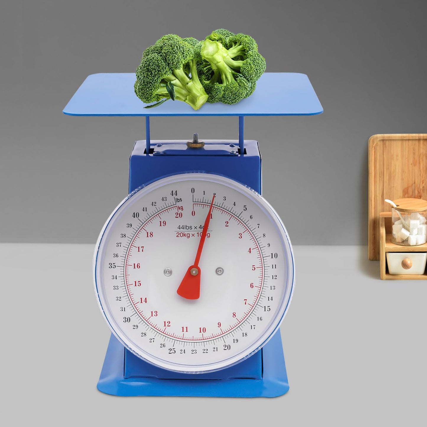 220lbs/100kg Mechanical Kitchen Scale, Mechanical Dial Scale with 13 x 13 Inch Weighing Pan, Heavy Duty Analog Dial Scale for Supermarkets Food Markets and Snack Shops