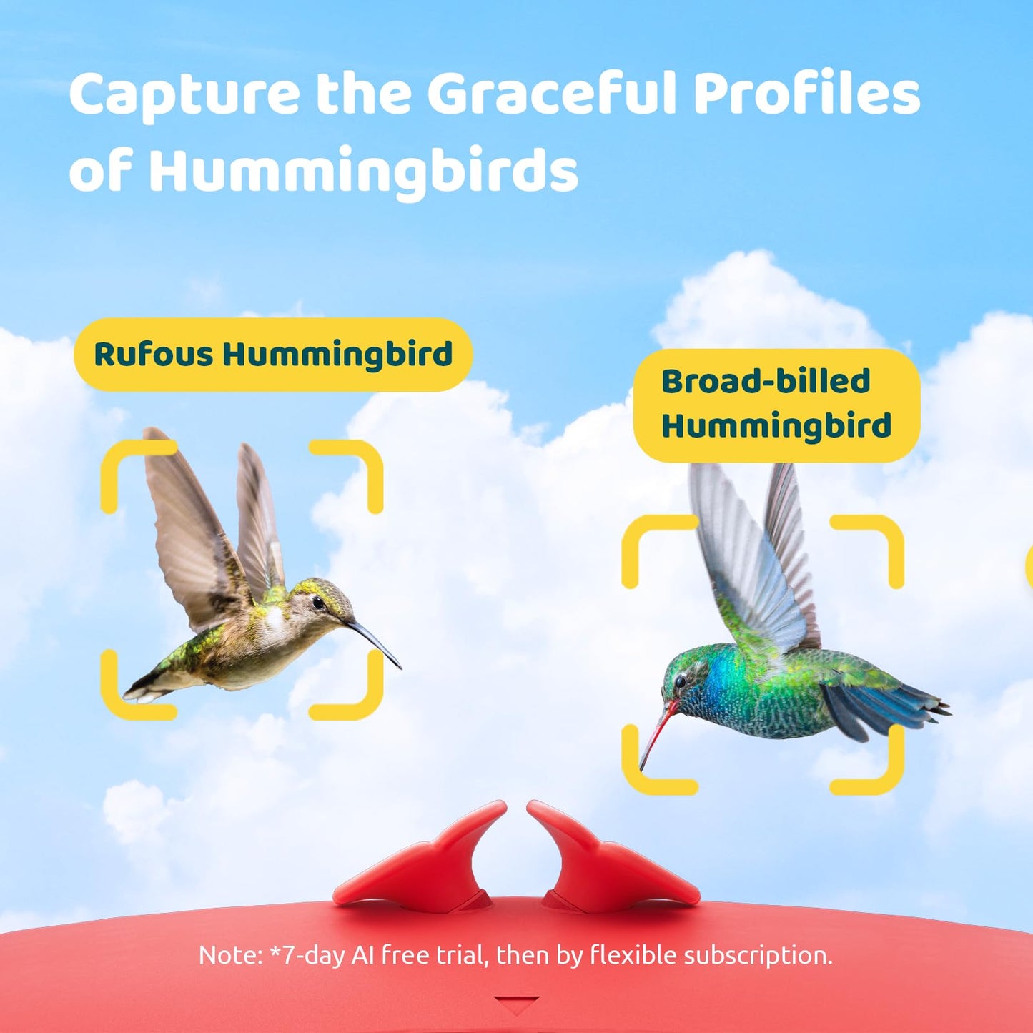 Birdfy Smart Hummingbird Feeder with Camera, Auto Detect Record Bird Video, Instant Notification, Live View, Solar Powered Hummingbird Feeders for Outdoors Ant Bee Proof, 14oz, Gift for Bird Lovers