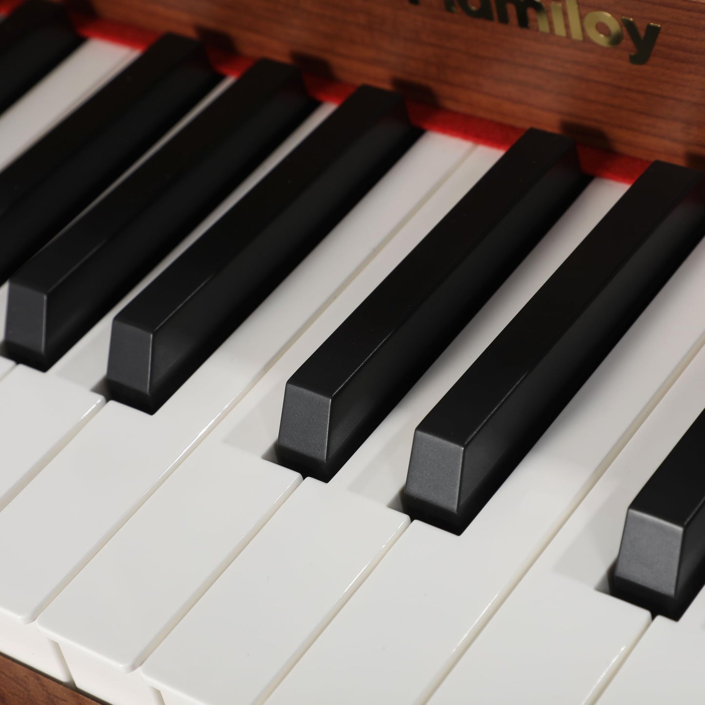PLAMILOY Kids Piano, Toddler 25-Keys (Upright) Wooden Digital Keyboard Piano, First Instrument Toy for Baby Beginner 3 Ages+, Surprise Educational Early Learning Birthday Gift for Boys Girls