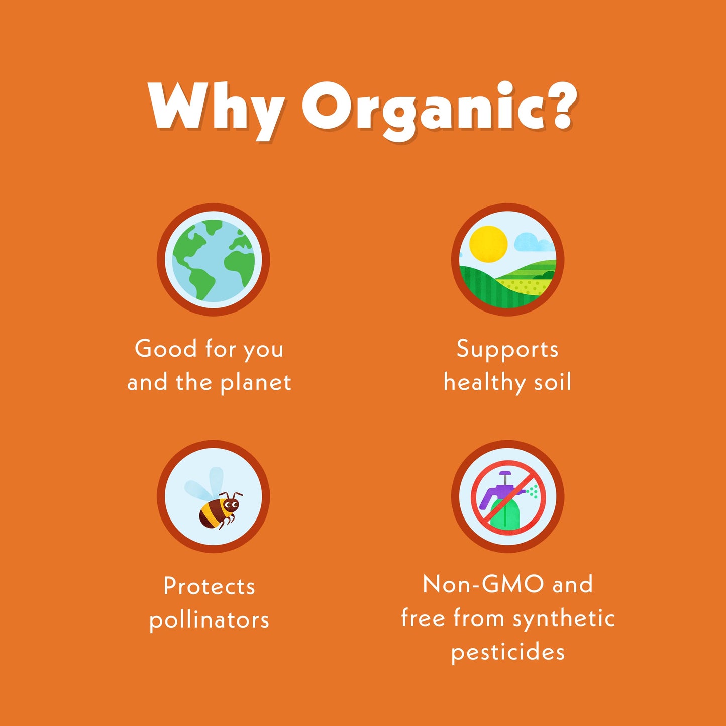 Once Upon A Farm Organic Coconut Melts with Probiotics, Mango Ba-nilla, Dairy Free, Non GMO, Kosher, 1 Ounces (Pack of 8)