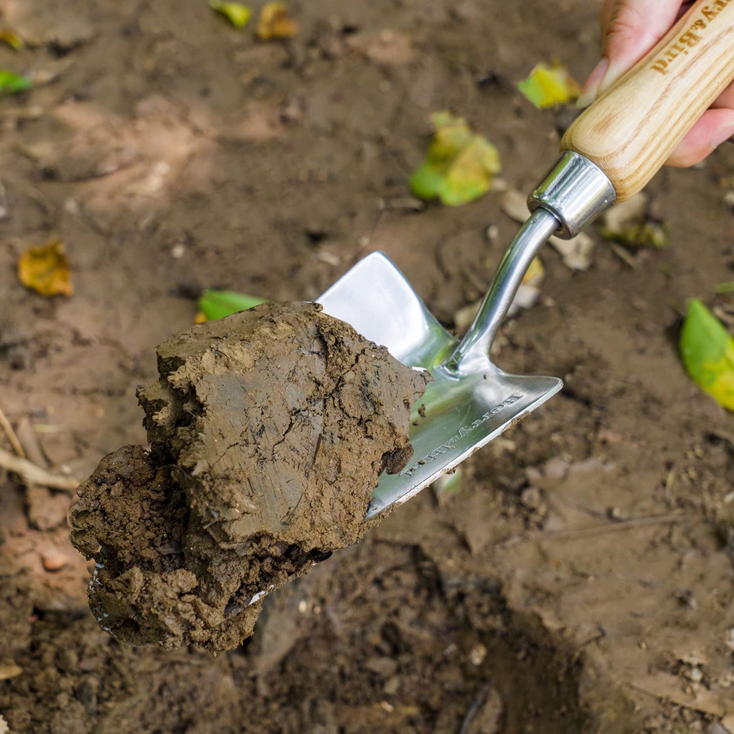 Berry&Bird Stainless Steel Trowel, Garden Small Flower Hand Shovel, Potting Soils Scoop with Wood Handle, Gardening Bonsai Tools for Transplanting Digging Weeding Planting