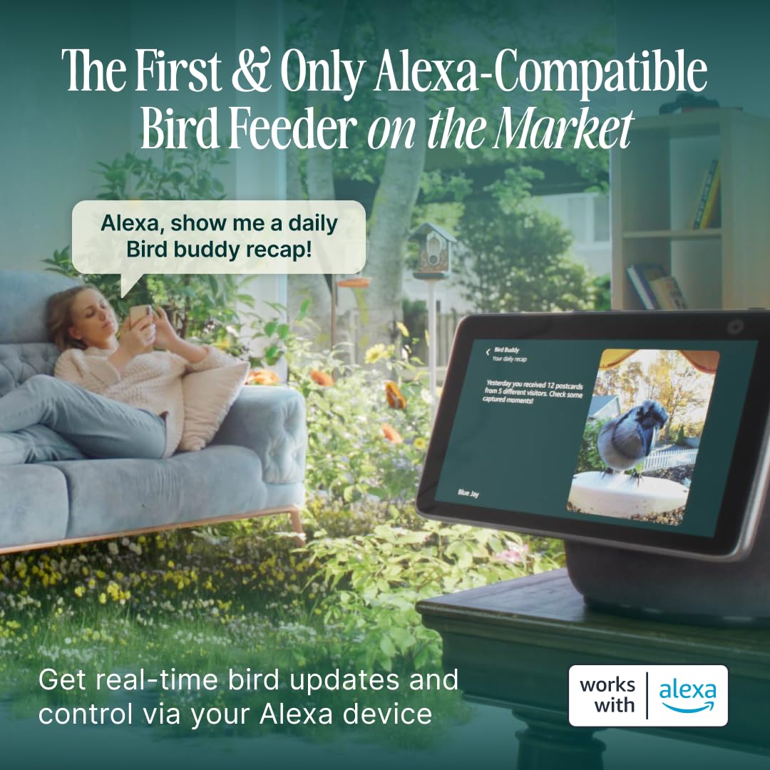 Birdbuddy PRO Non Solar Smart Bird Feeder with Camera - AI Bird Species Identification, 5MP Photos, 2K HD Video Live Stream Camera, Slow-Motion Video, 2.6in Focus - Blue - Non Solar