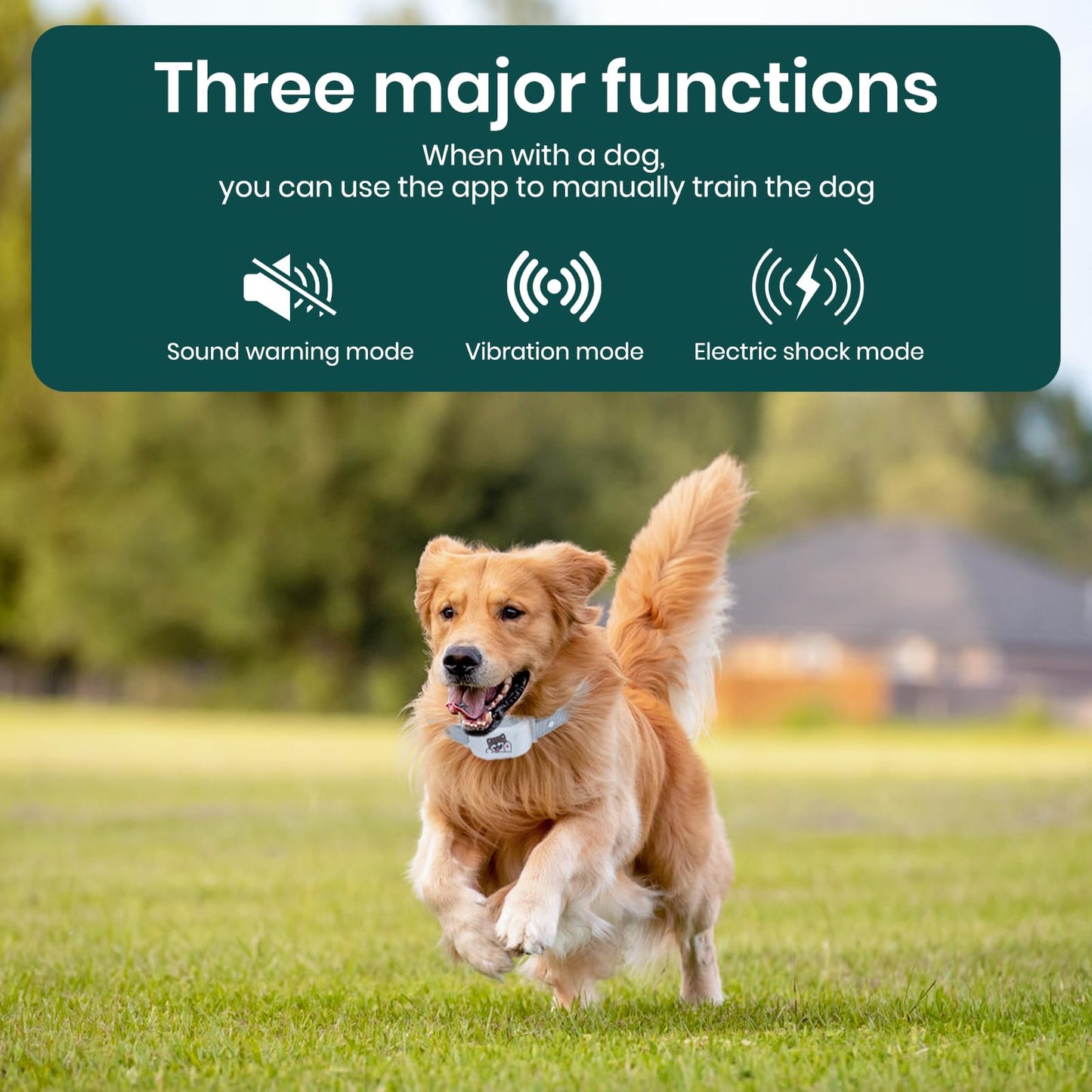 GPS Wireless Dog Fence with Free App, Electric Fence System with Training Collar, Portable Fence for Outdoor Use, Rechargeable Waterproof, Adjustable Pet Containment System for Outdoor Use