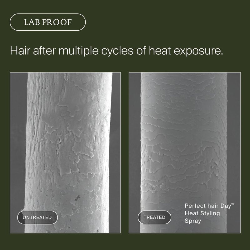 Living proof Perfect Hair Day Heat Styling Spray – Smoothness for 48 Hours, Heat Protection up to 450°F, Ultra-Fine Mist for Damp or Dry Hair, 5.5 oz