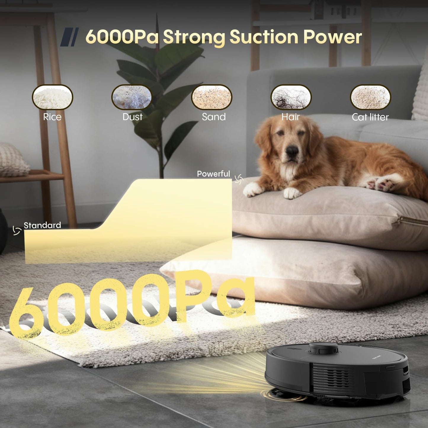 eitton Robot Vacuum and Mop, Self Emptying, 6000Pa Suction, Advanced Smart Mapping, Easy Custom 4 in 1 Robotic Vacuum for Pet Hair, Dust, Carpet, WiFi/Alexa