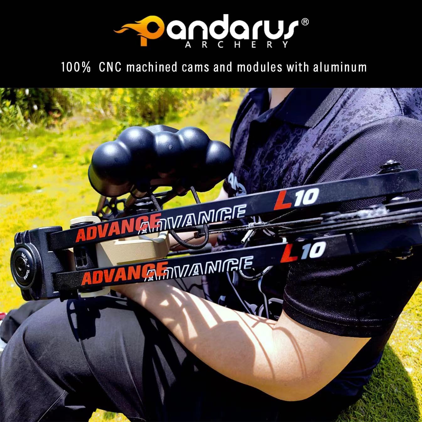 PANDARUS Compound Bow Package for Adults and Teens,19-70 Lbs Draw Weight Adjustable,19"-30" Draw Length,Limbs Made in USA,Archery Bow and Arrow Set,up to 320 fps, Let Off 75%2024 New(BLACKPRO)