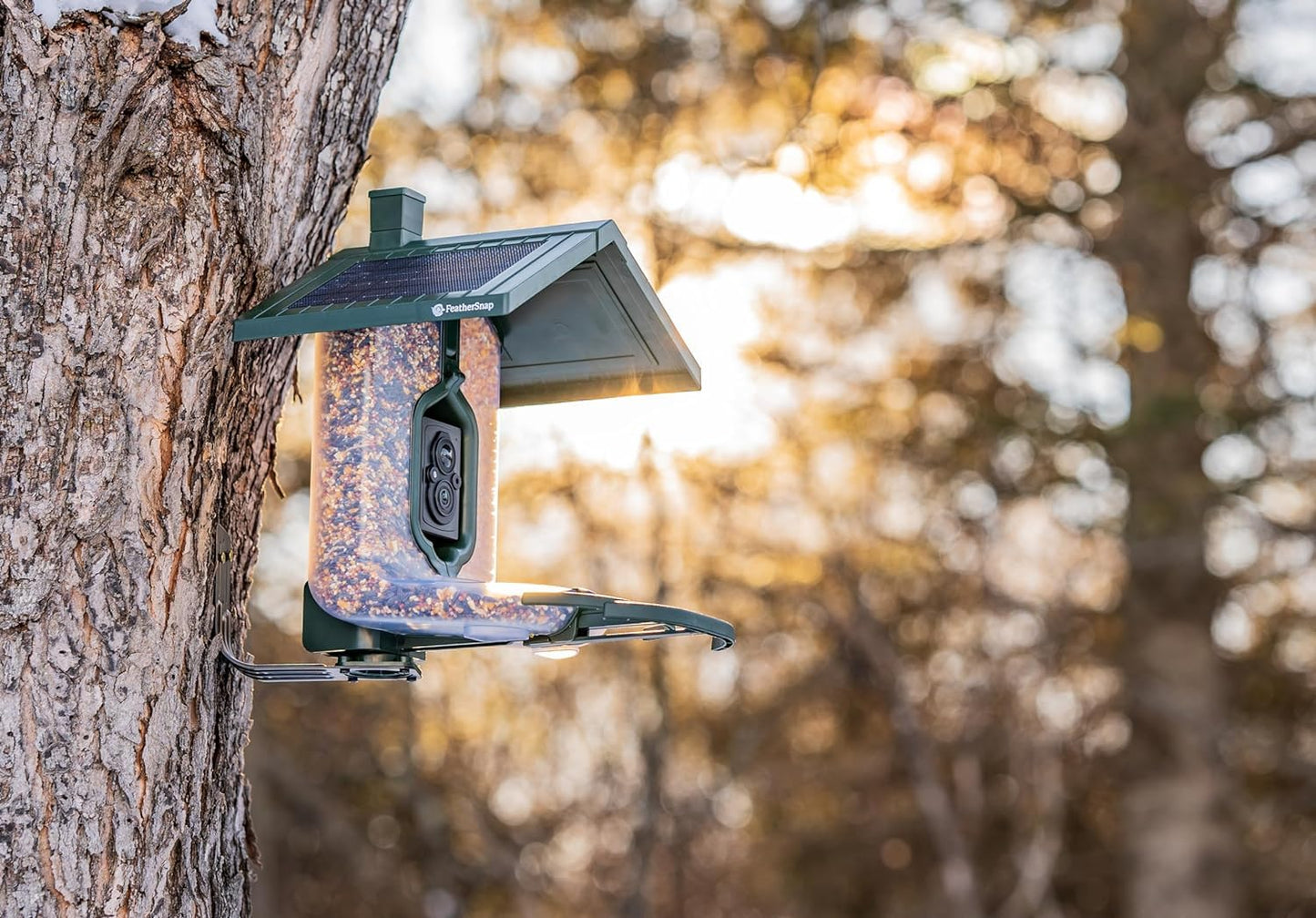 Bird Feeder with Camera with AI Identify Birds Species Solar Panel, Smart Bird House with Cam, 2K Live View, Instant Arrival Alerts, Dual Feeder, Includes Pole Stand