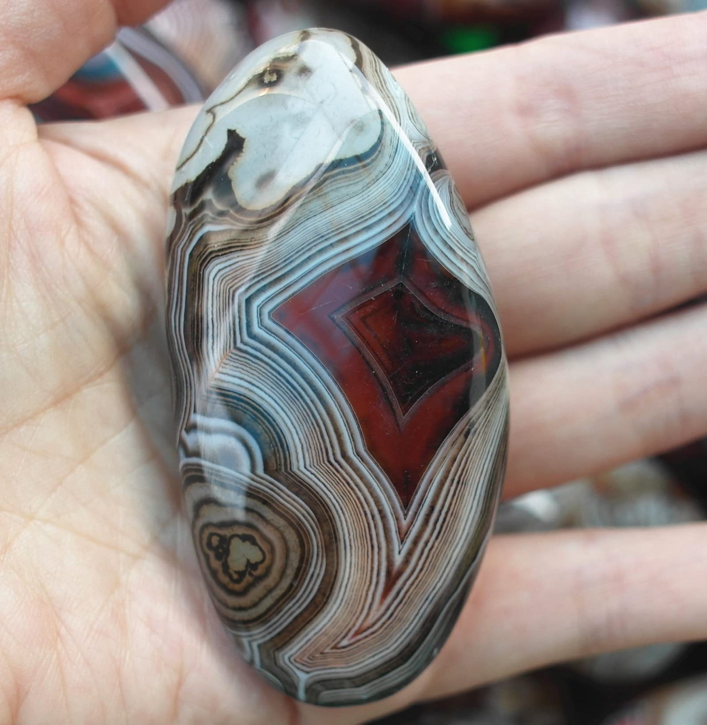 Natural Polished Banded Lace Agate Healing Crystal Specimen Irregular Palm Worry Stones Pebble Reiki Madagascar Collection Gifts Decor 1pc.（0.22-0.28 Pound
