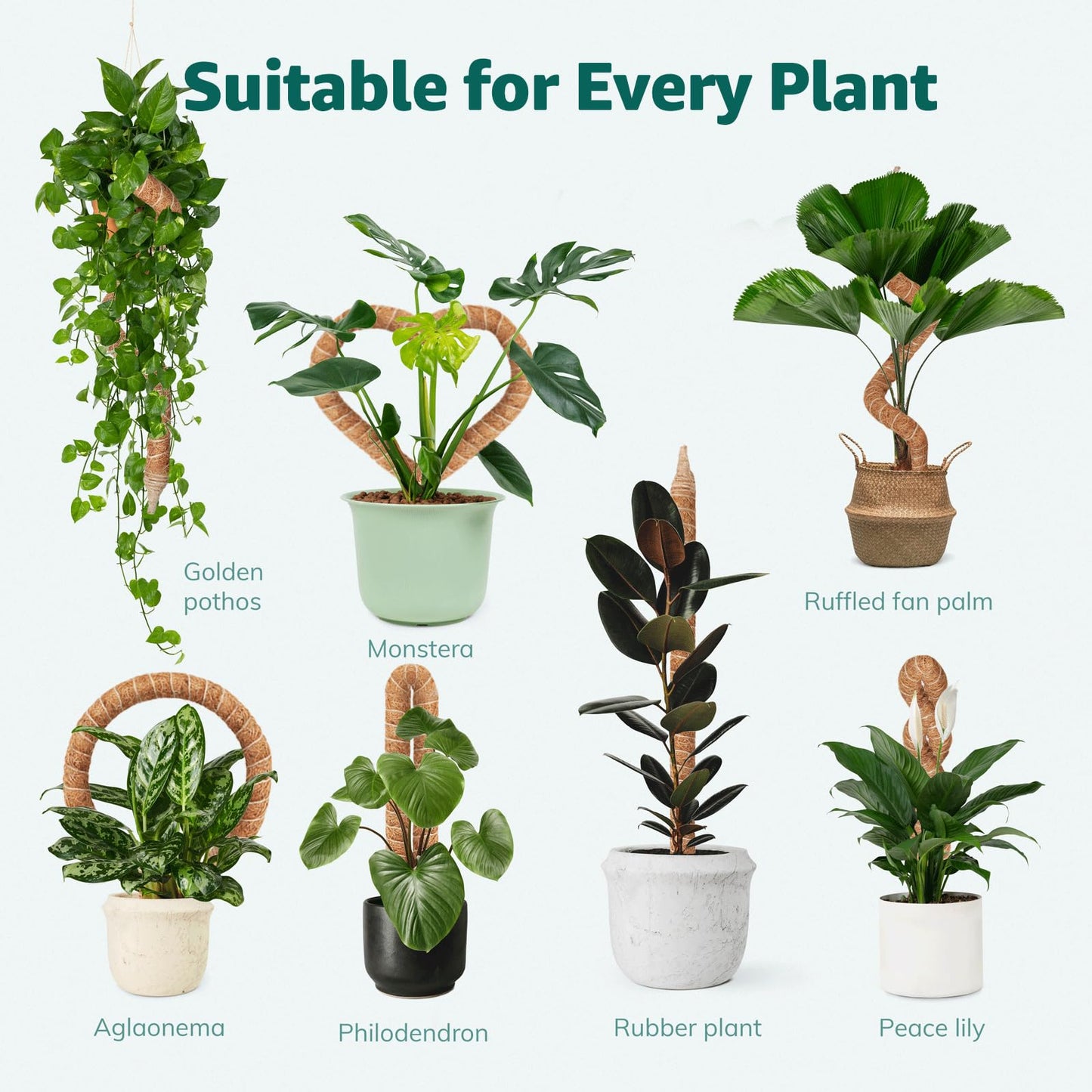 Vanut 3-Pack 28in Moss Pole for Plants Indoor, Bendable & Sturdy Fishbone Cactus Plant Stake for Monstera, Pothos Vines, Philodendron & Indoor Tropical Houseplants, Made for Coco Coir