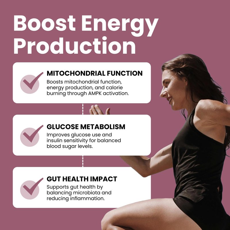 Luma Nutrition Berberine Supplement - Berberine HCL 1200mg Per Serving - 97% Berberine HCl - Vegan, Gluten Free - 60 Capsules