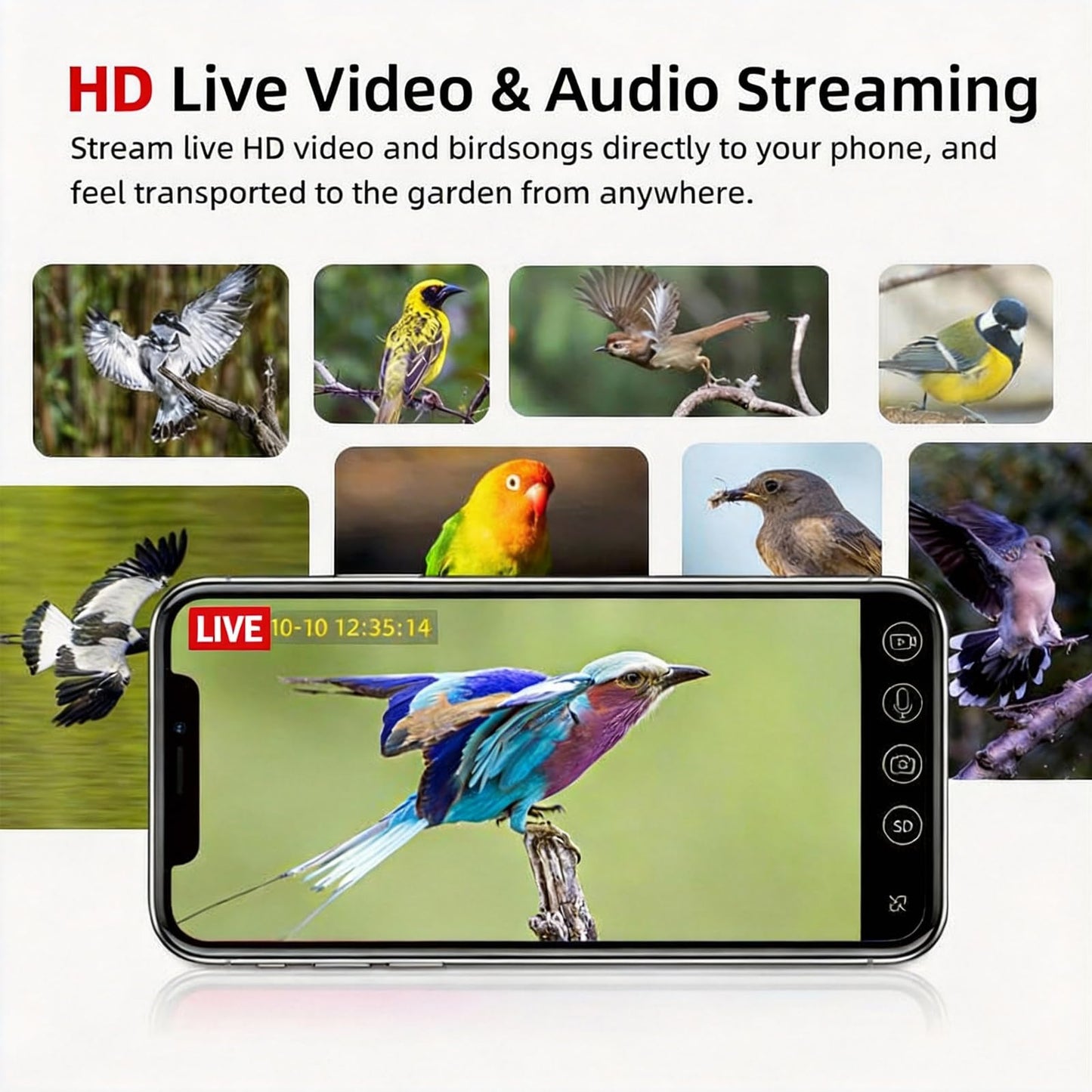 AI-Powered Smart Bird Feeder with Camera & Bird Bath with Solar Powered Circulating Pump, Identifies 10000+ Bird Species, 2K Live Stream & App Alerts, Weatherproof Garden Decor & Bird Watching Gift