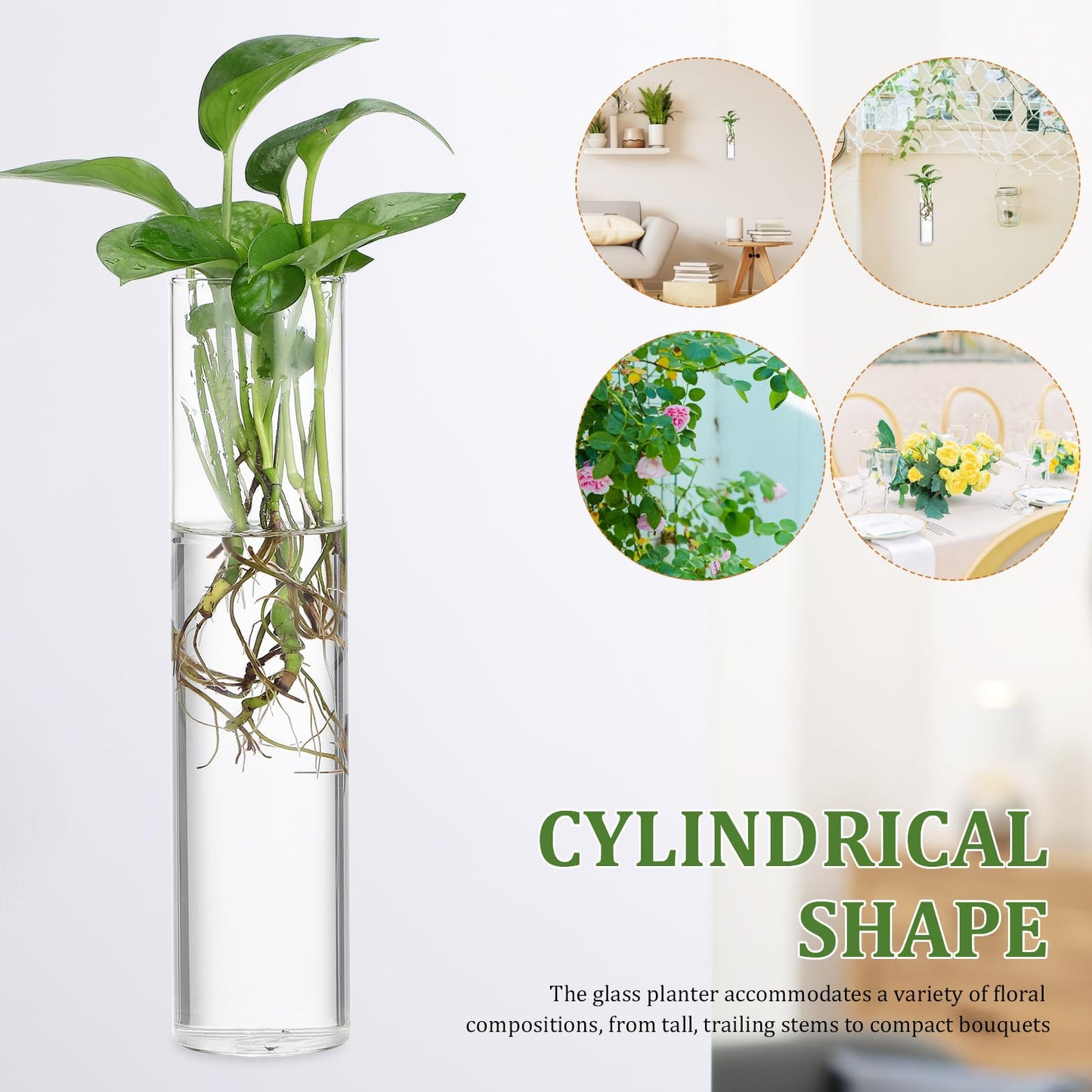 BETOOKY Wall Hanging Glass Vases for Indoor Plants 2pcs, Large Round Tube Hydroponic Propagation Station Terrariums, Wall Holders for Home Décor and Flower Display