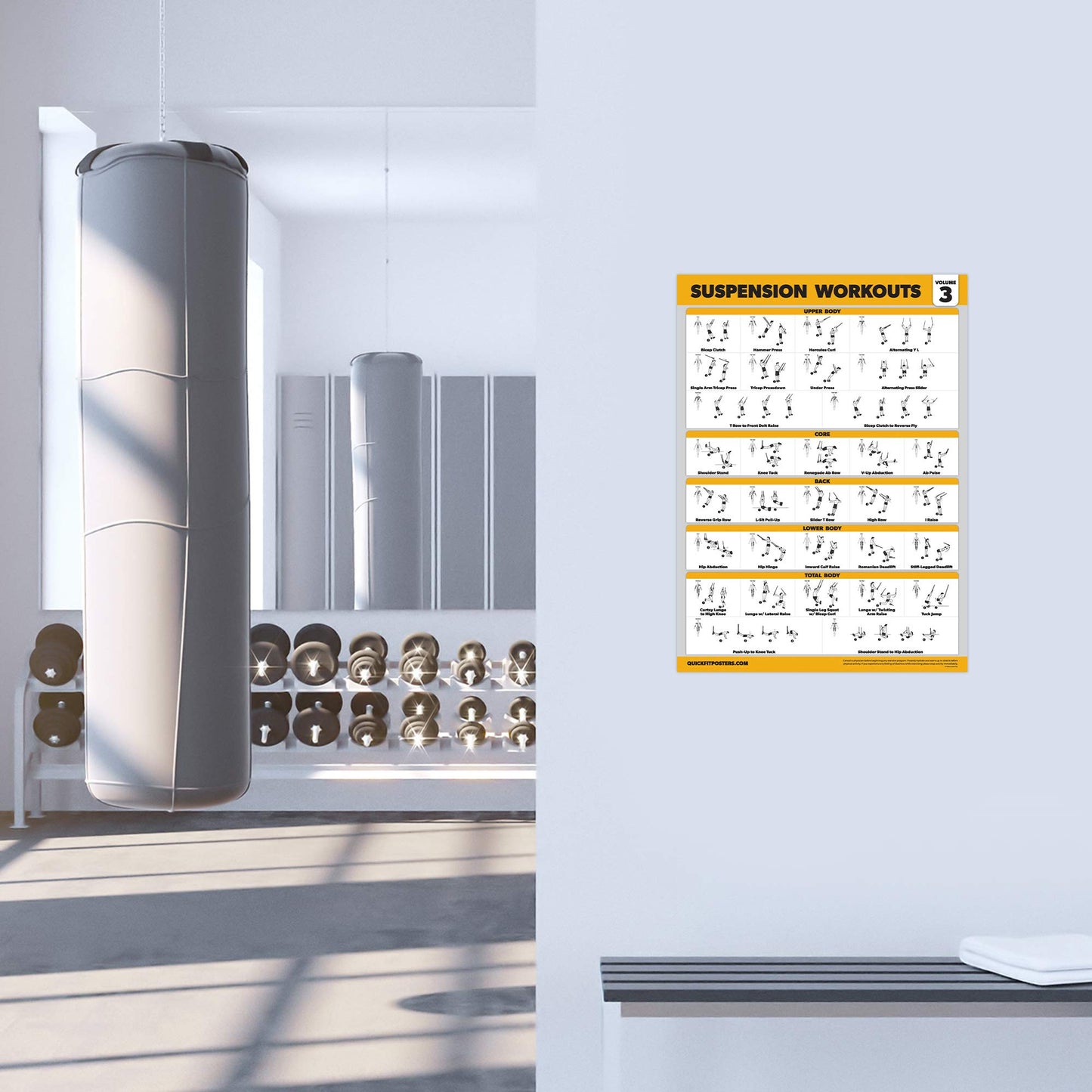 Palace Learning 3 Pack Suspension Workout Posters - Volume 1, 2 & 3 - Exercise Charts (LAMINATED, 18" x 24"")"