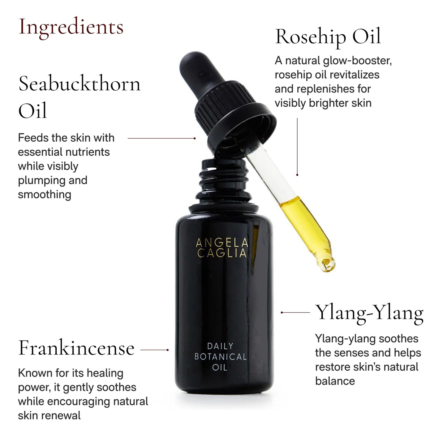 Angela Caglia Daily Botanical Oil - Organic Face Oil for Glowing Skin - Hydrating & Nourishing with Antioxidants - USDA-Certified 1 Fl Oz