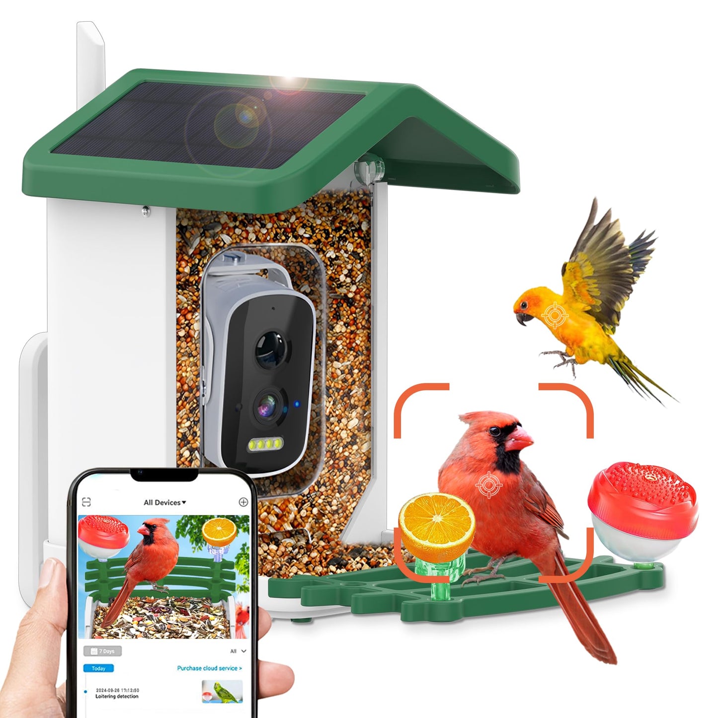 Bird Feeder with Camera,Smart AI Feeder with Solar-Powered Camera – Auto Identifier, Live View, Instant Visit Alerts, HD Video Capture for Bird Watching Enthusiasts (Weatherproof) 2.4GHz WiFi- Green