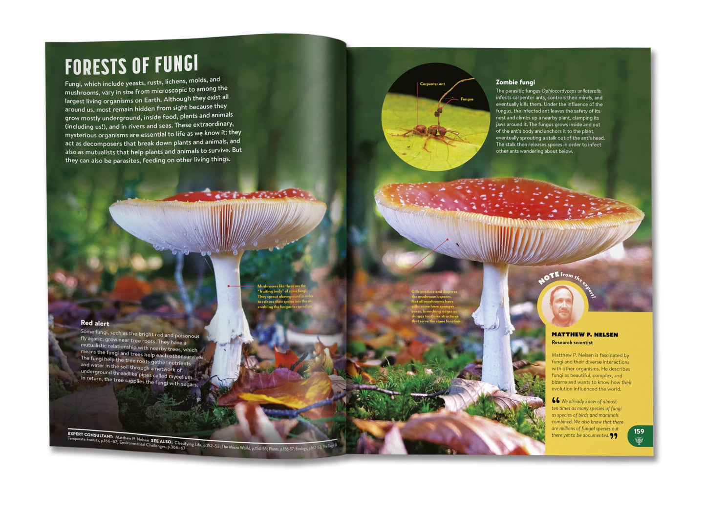 Britannica All New Kids' Encyclopedia: Updated Edition - What We Know & What We Don't