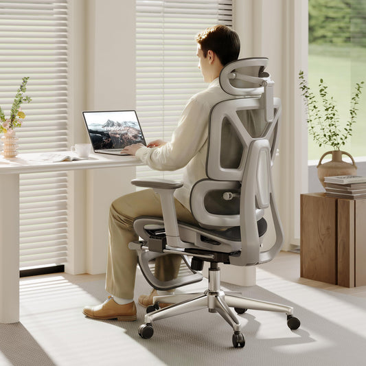 FLEXISPOT ErgoX Premium Ergonomic Office Chair with Footrest- Adjustable 3D Armrests, Dynamic Lumbar Support, Recline & Tilt Function, Mesh Seat, for Home & Office Use,Light Grey