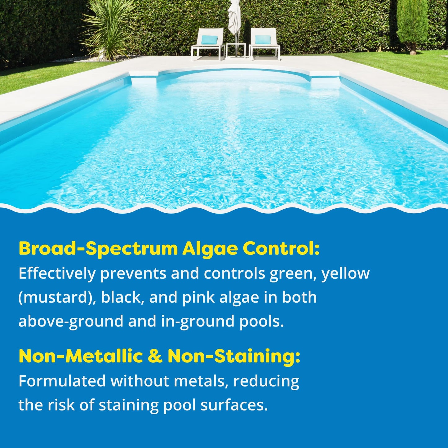 In The Swim Algaecide 60 Plus for Swimming Pools - Non-Metallic, Low Odor, Non-Foaming Algae Bloom Preventative - Chlorine Sanitizer Compatible - 1 Quart