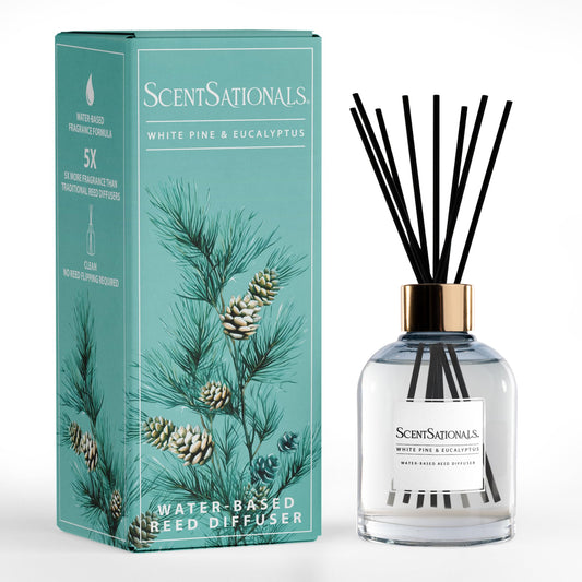 ScentSationals Water-Based Reed Diffuser - White Pine & Eucalyptus - 5 FL OZ Aromatherapy Reed Diffuser