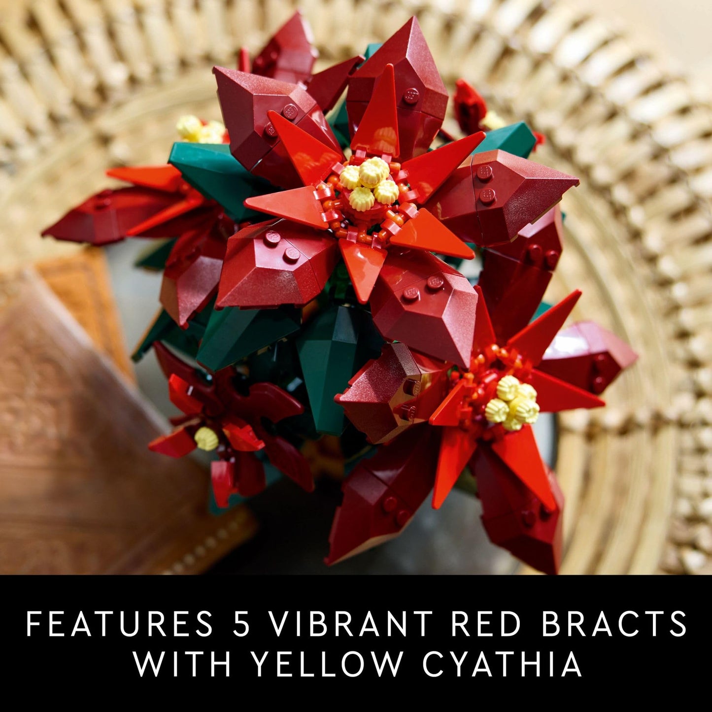 LEGO Icons Poinsettia Building Sets for Adults - Artificial Flowers for Decoration - Christmas Flowers for Table Centerpiece - 10370