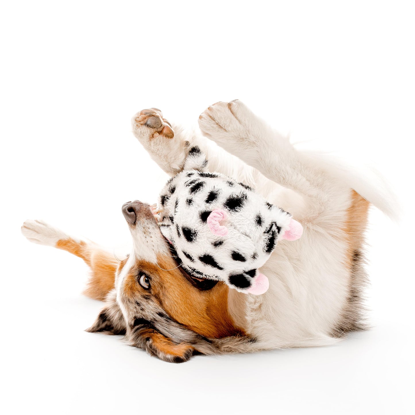 Playology Dog Toys | Plush Toy Pig Stuffed Animal for Dogs | Jumbo Pork Sausage Scented Toy - Easy to Clean and Made from Non Toxic Materials