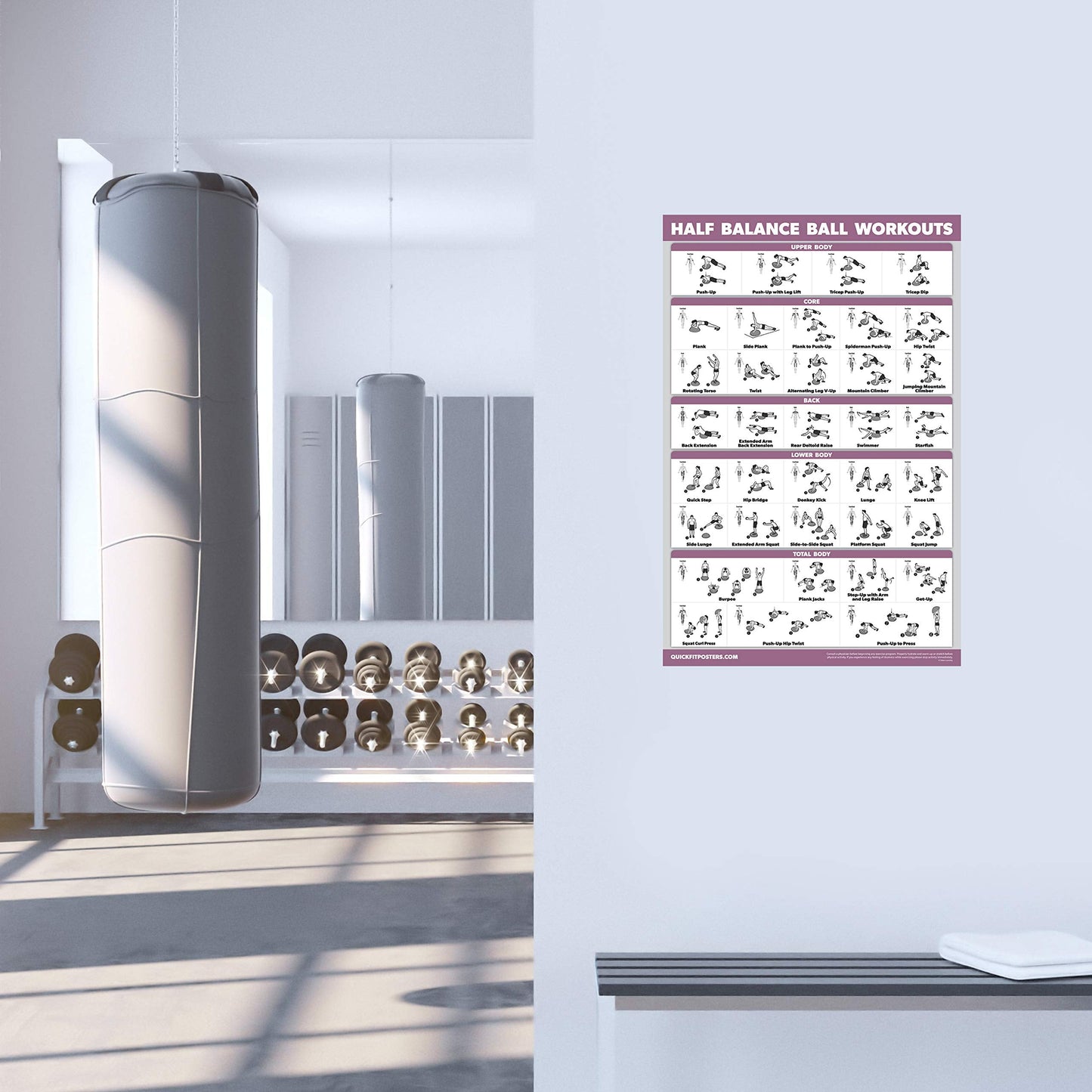 Palace Learning Half Balance Ball Workout Poster - Exercise Chart (LAMINATED, 18" x 24"")"