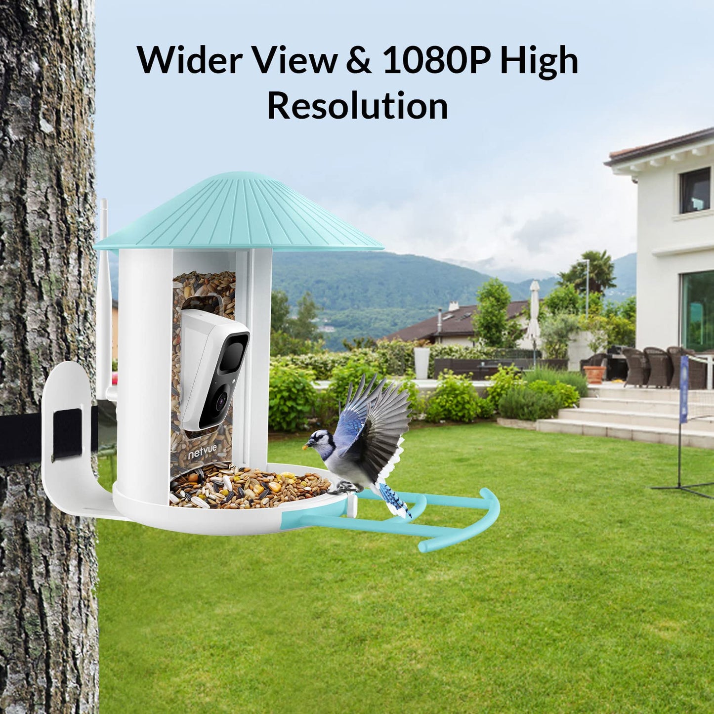 NETVUE by Birdfy Smart Bird Feeder with Camera & Hummingbird Feeder Perch, Attract More Bird Species
