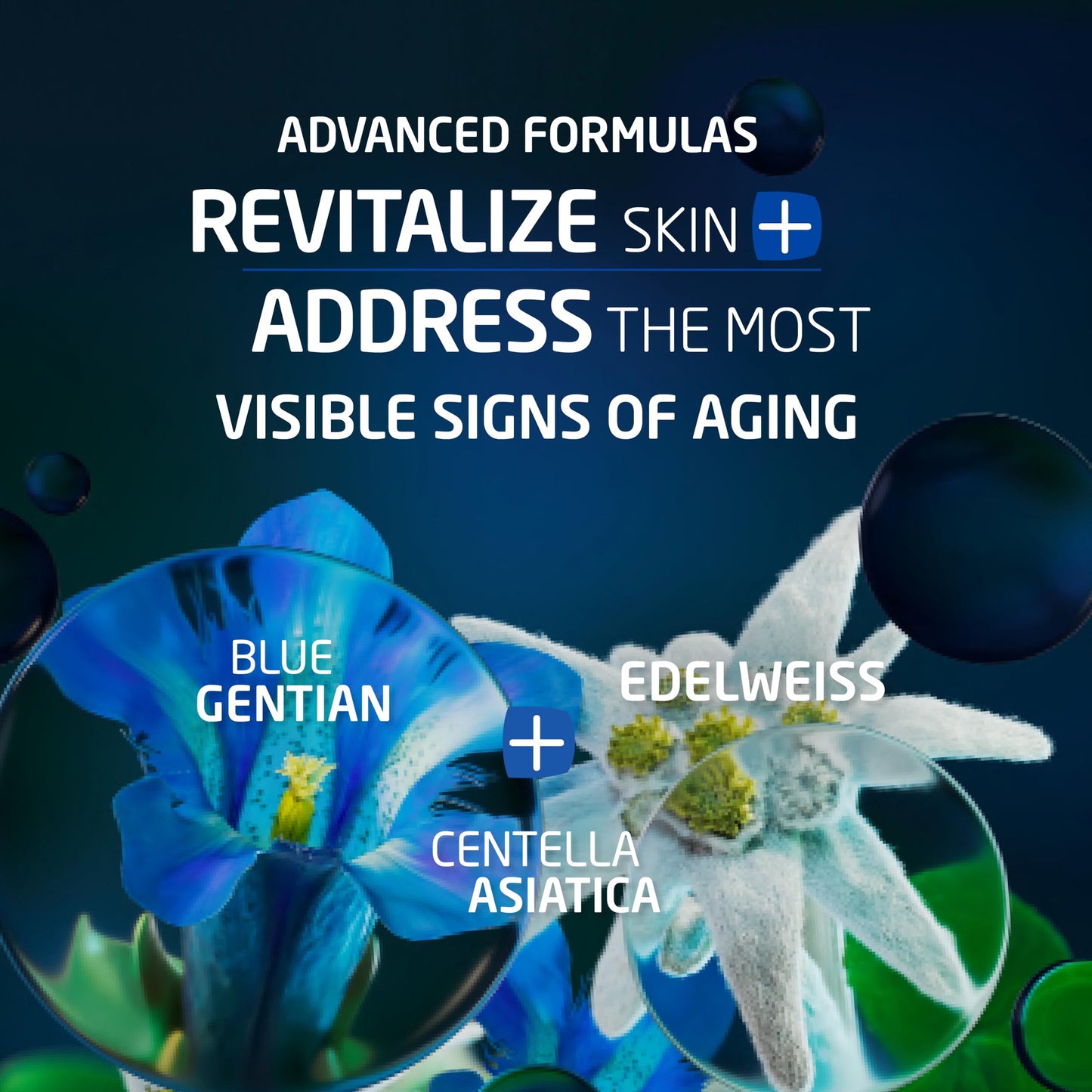 Weleda Face Care Rejuvenating Day Cream, 1.3 Fluid Ounces, Plant Rich Moisturizer with Blue Gentian and Edelweiss