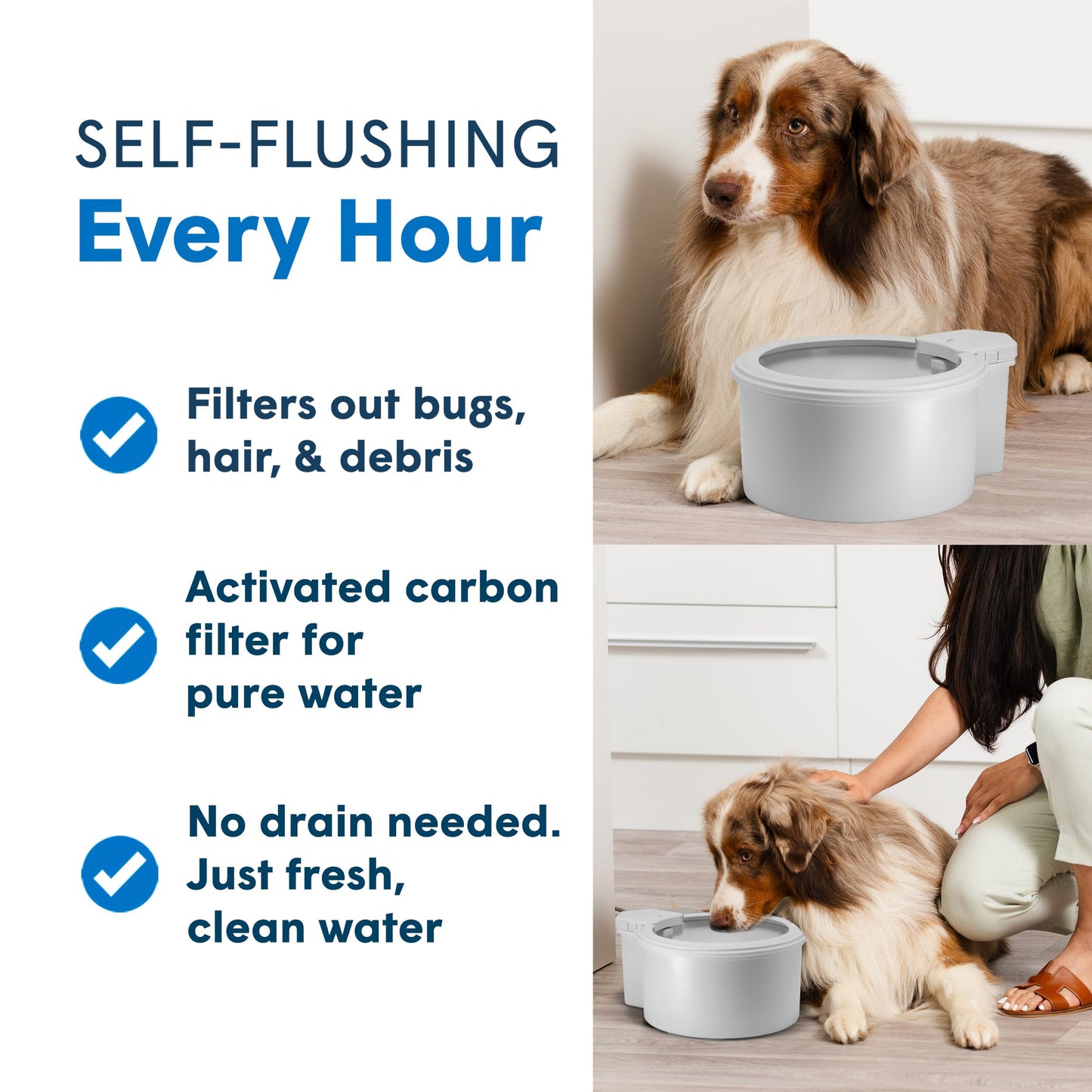 Always Full® 9” Dog Water Bowl and Bottle Pump Bundle, Self Refilling with Clean Filtered Water, App-Enabled Smart Hydration Monitoring, Upgradeable System for Dogs and Cats