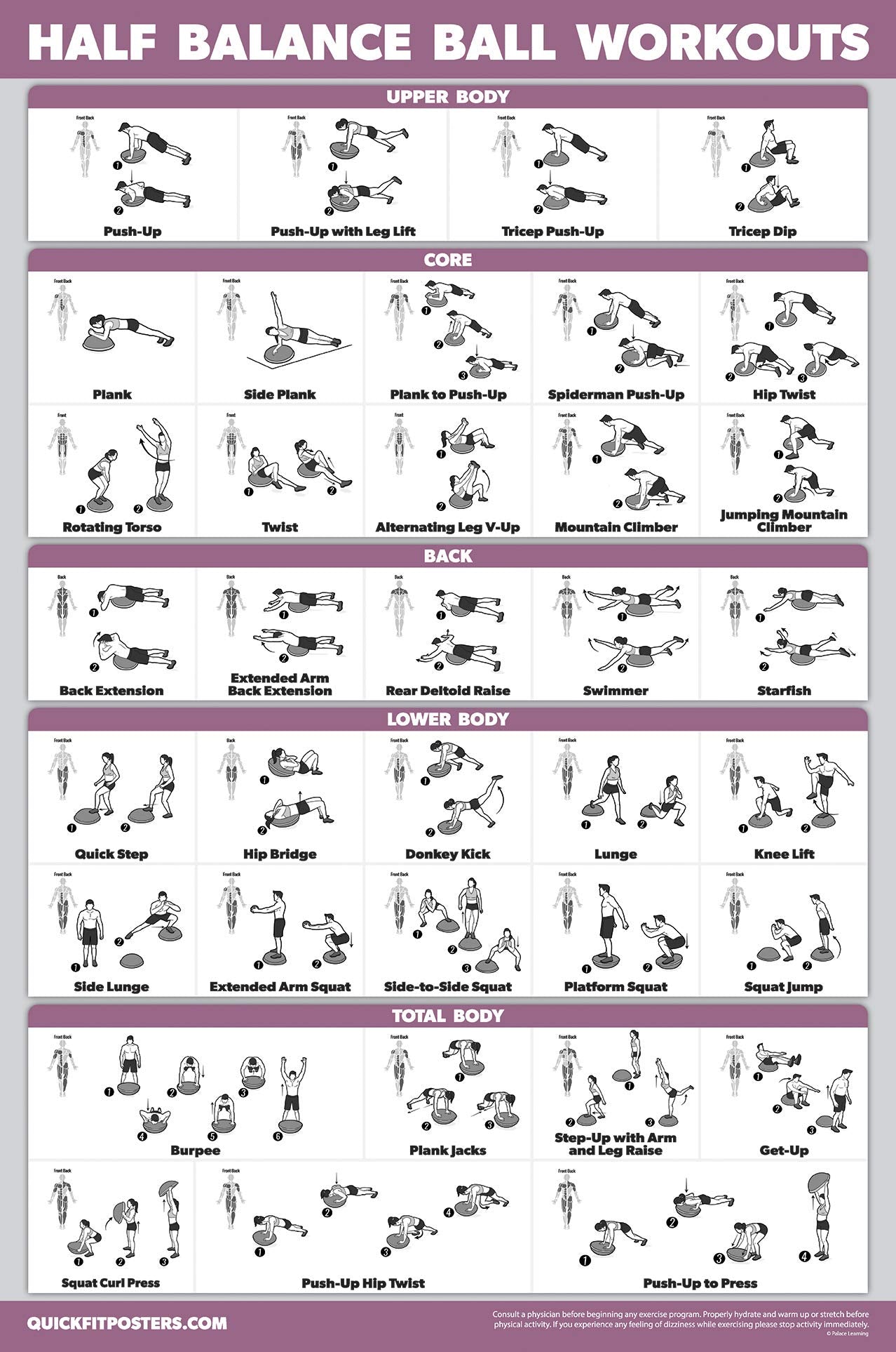 Palace Learning Half Balance Ball Workout Poster - Exercise Chart (LAMINATED, 18" x 24"")"
