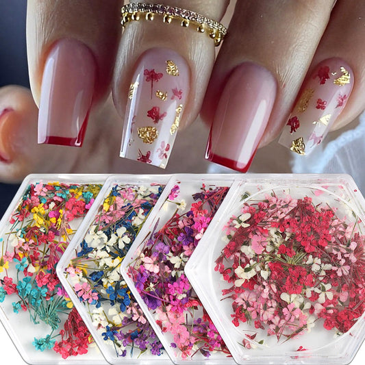 SILPECWEE 4 Boxes 3D Dried Flowers Nail Art Stickers Natural Dry Flowers Nail Stickers Decals Mix Tiny Floral Petals Colorful Flower for Nails Crafts for Women DIY Manicure Decorations