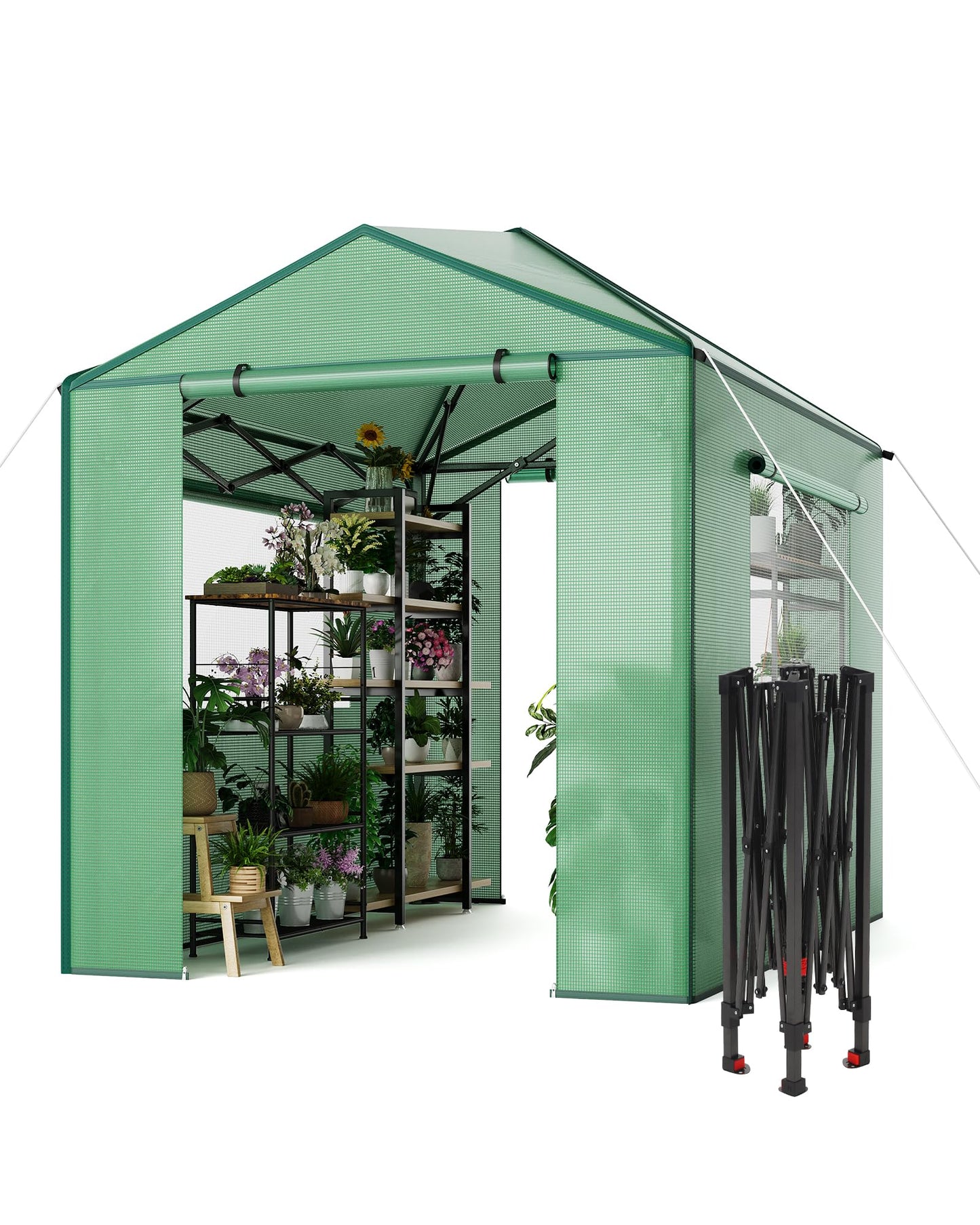 8x6 FT Walk in Green Houses for Winter, Popup Greenhouse Kit,Steel Frame Hot Houses, Roll-Up Zipper Door for Flowers, Vegetables, Saplings, Tropical Plants, Green